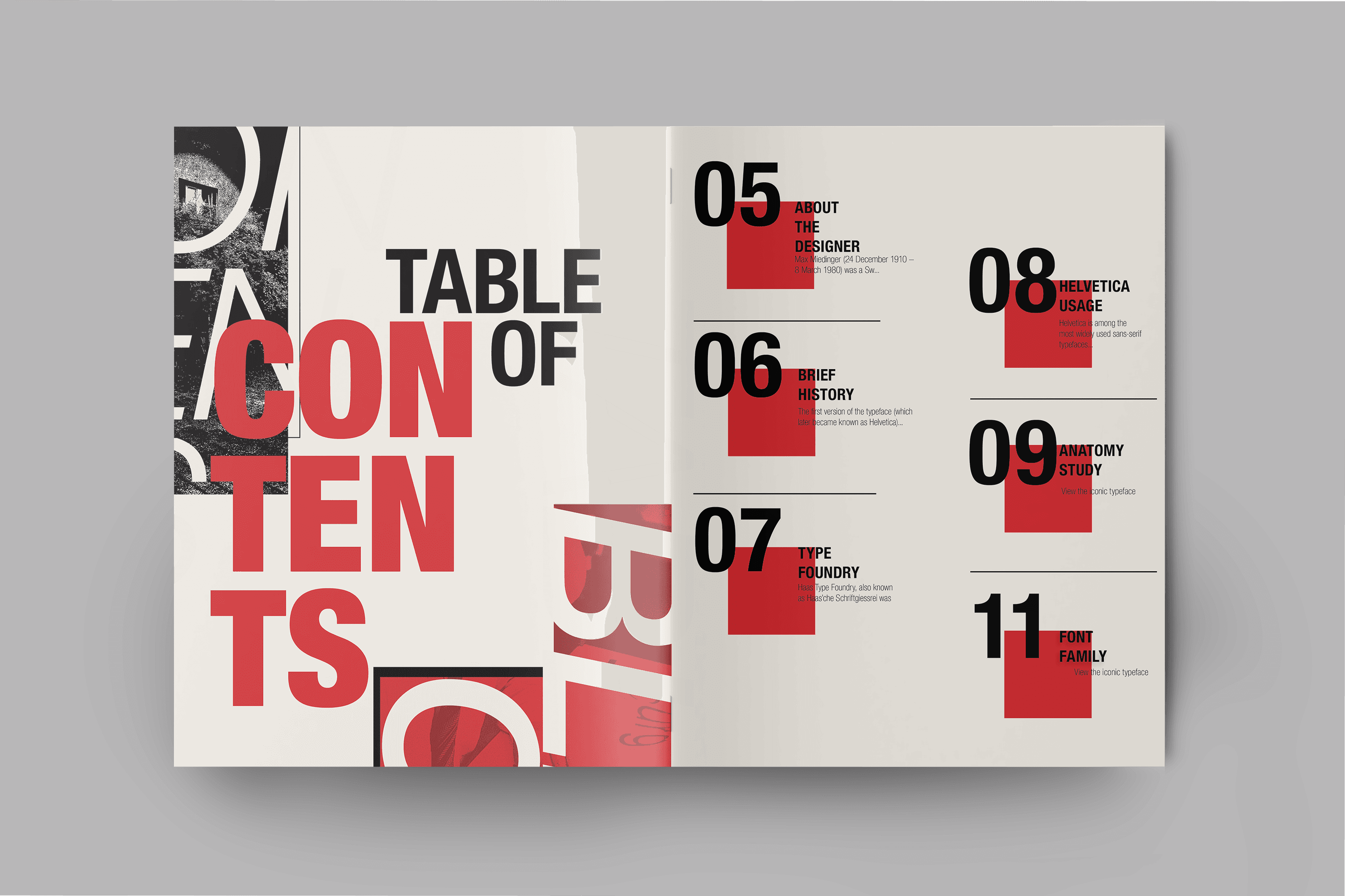 Project Content Image - 2