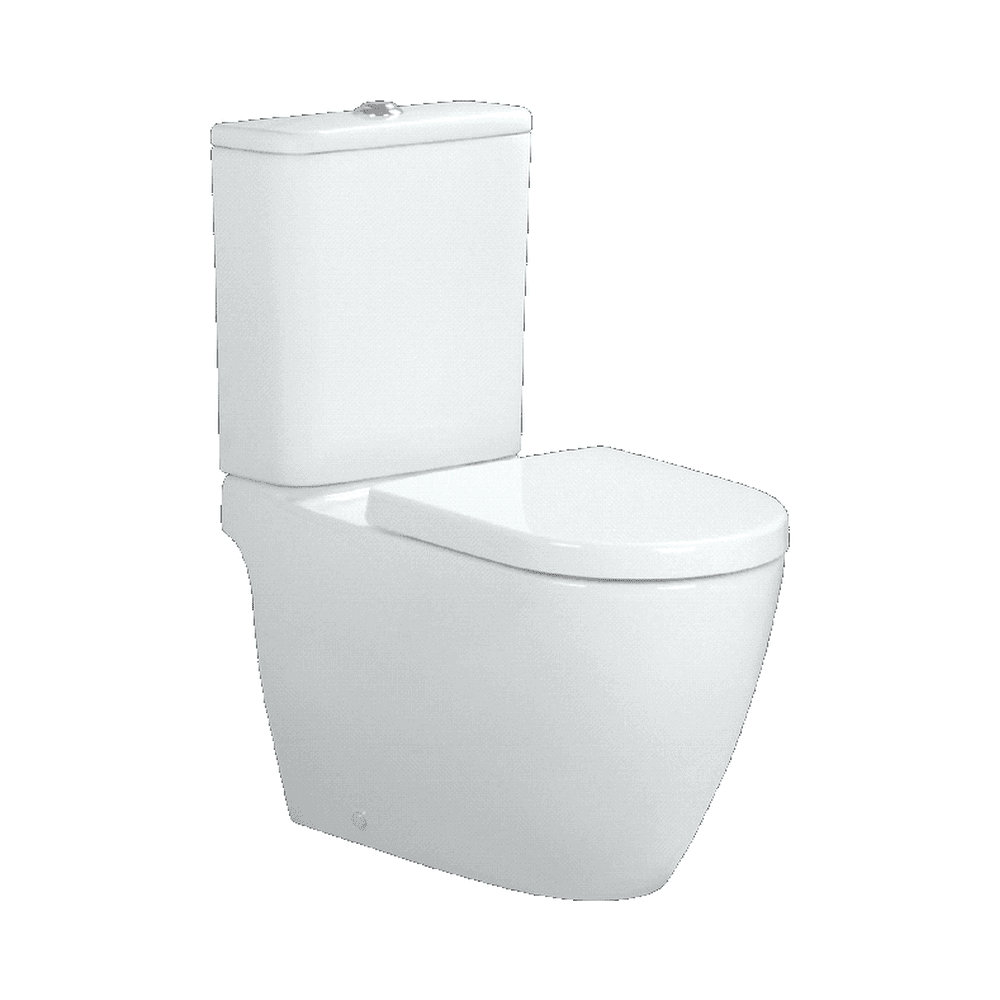 Washdown Rimless Close-Coupled WC