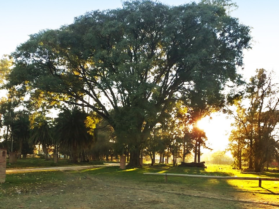 Lotes Para Todos - El Descanso