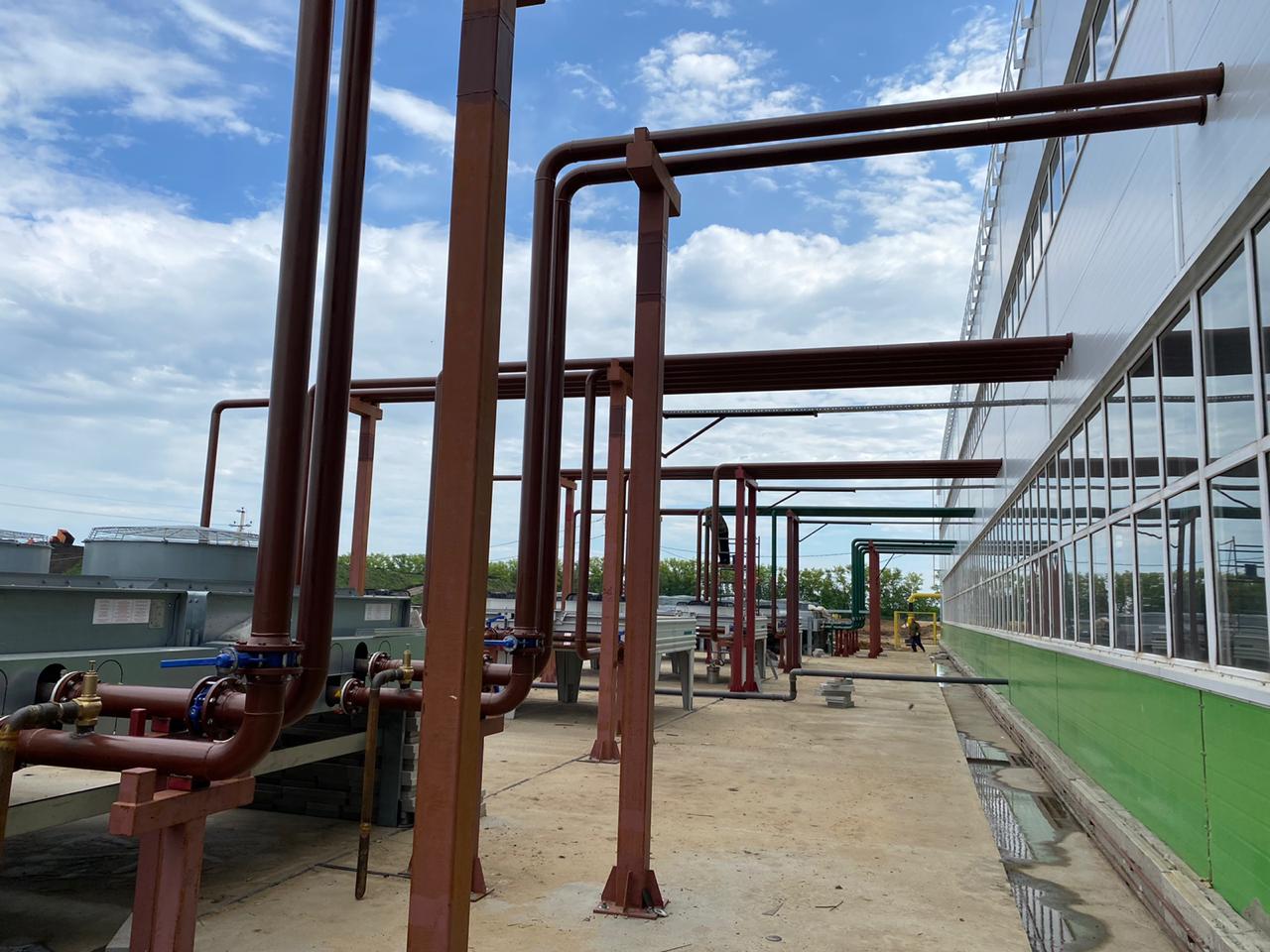 Horti XS projects ProCann