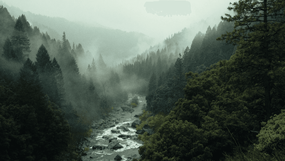 nature