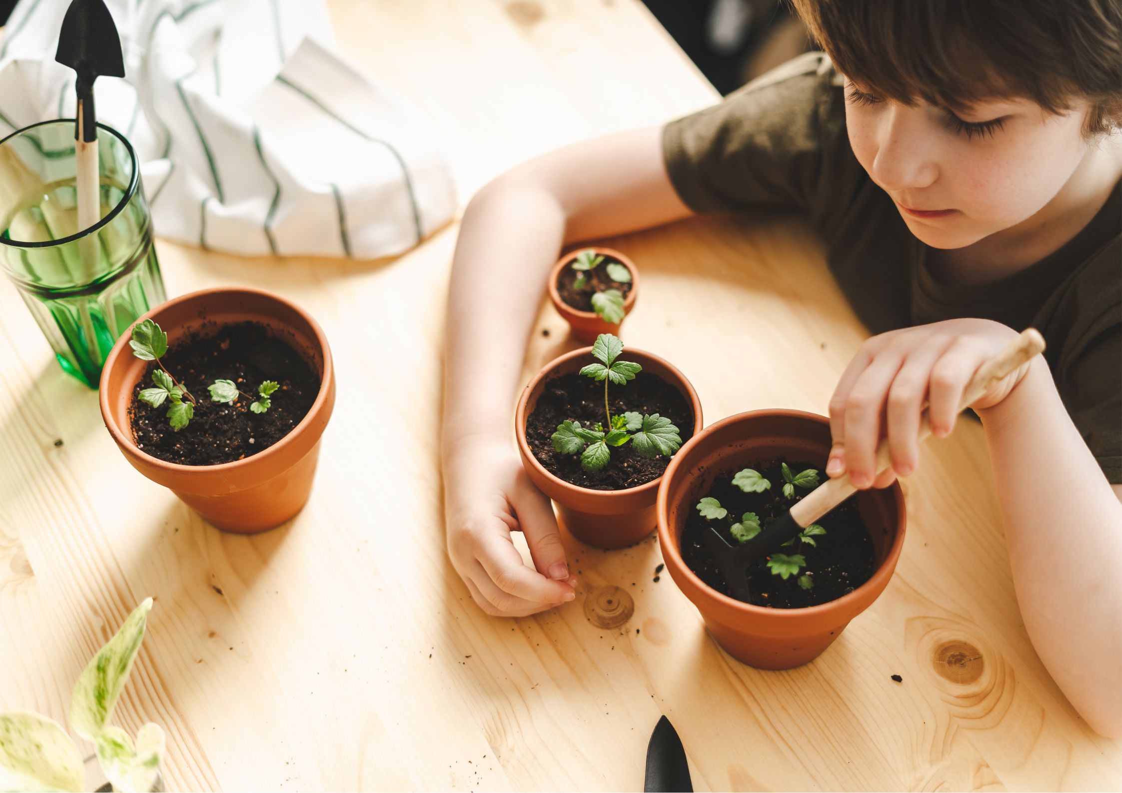 Children learning to garden in the children’s garden