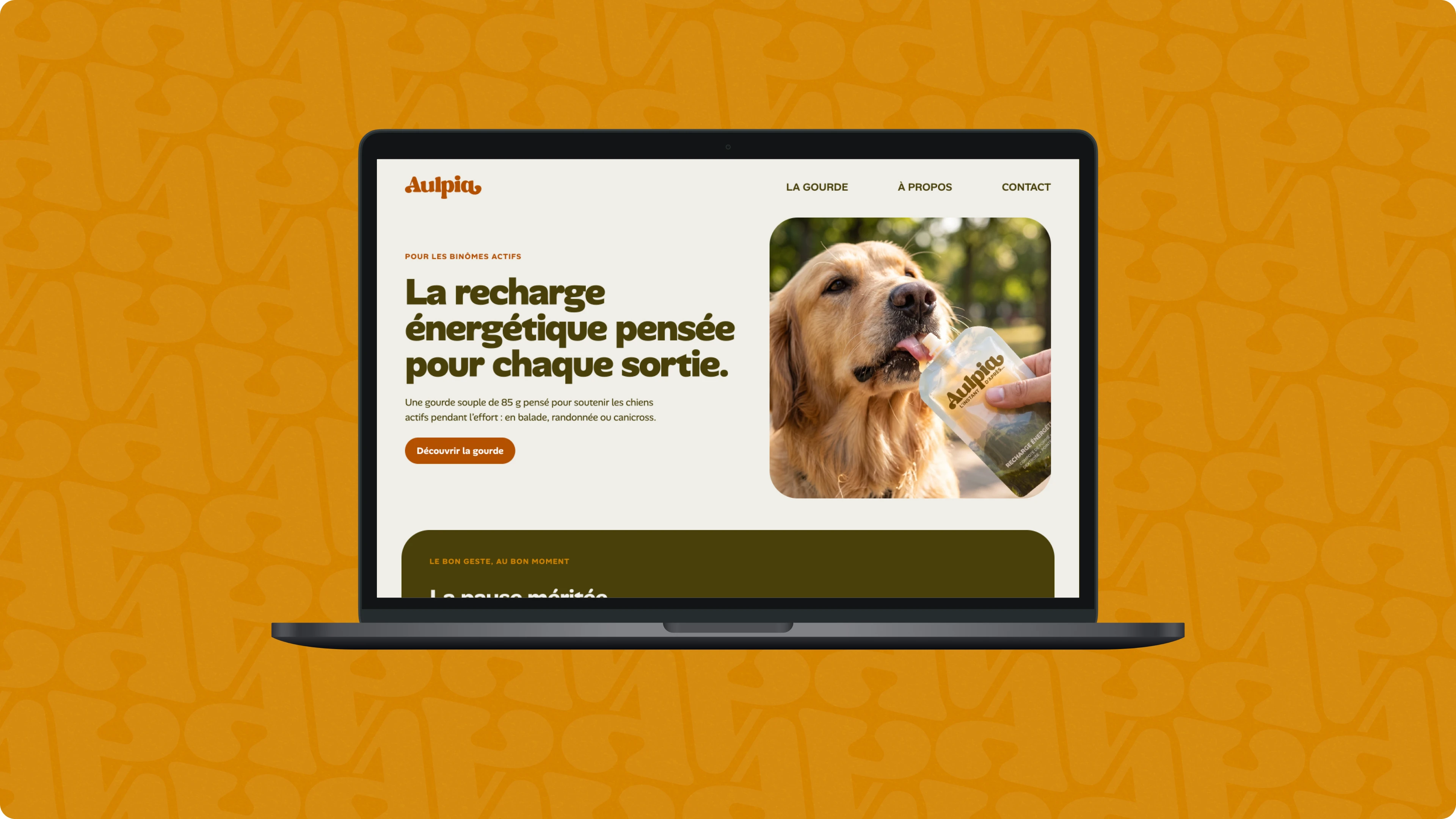 Webdesign Aulpia par Coralie De Almeida graphiste spécialisée dans le secteur animalier