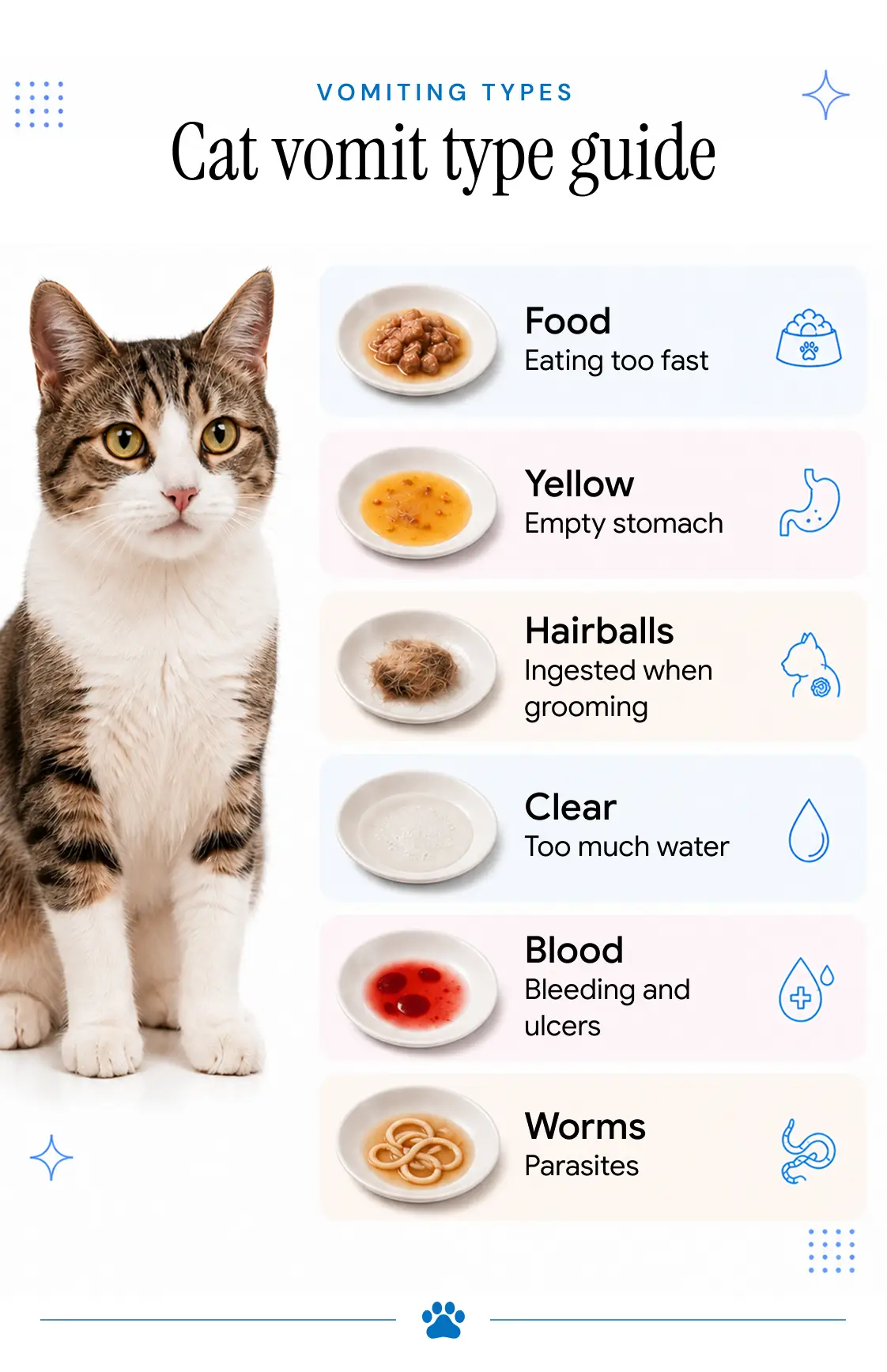 An inforgraphic showing the different types of cat vomit and what they mean.
