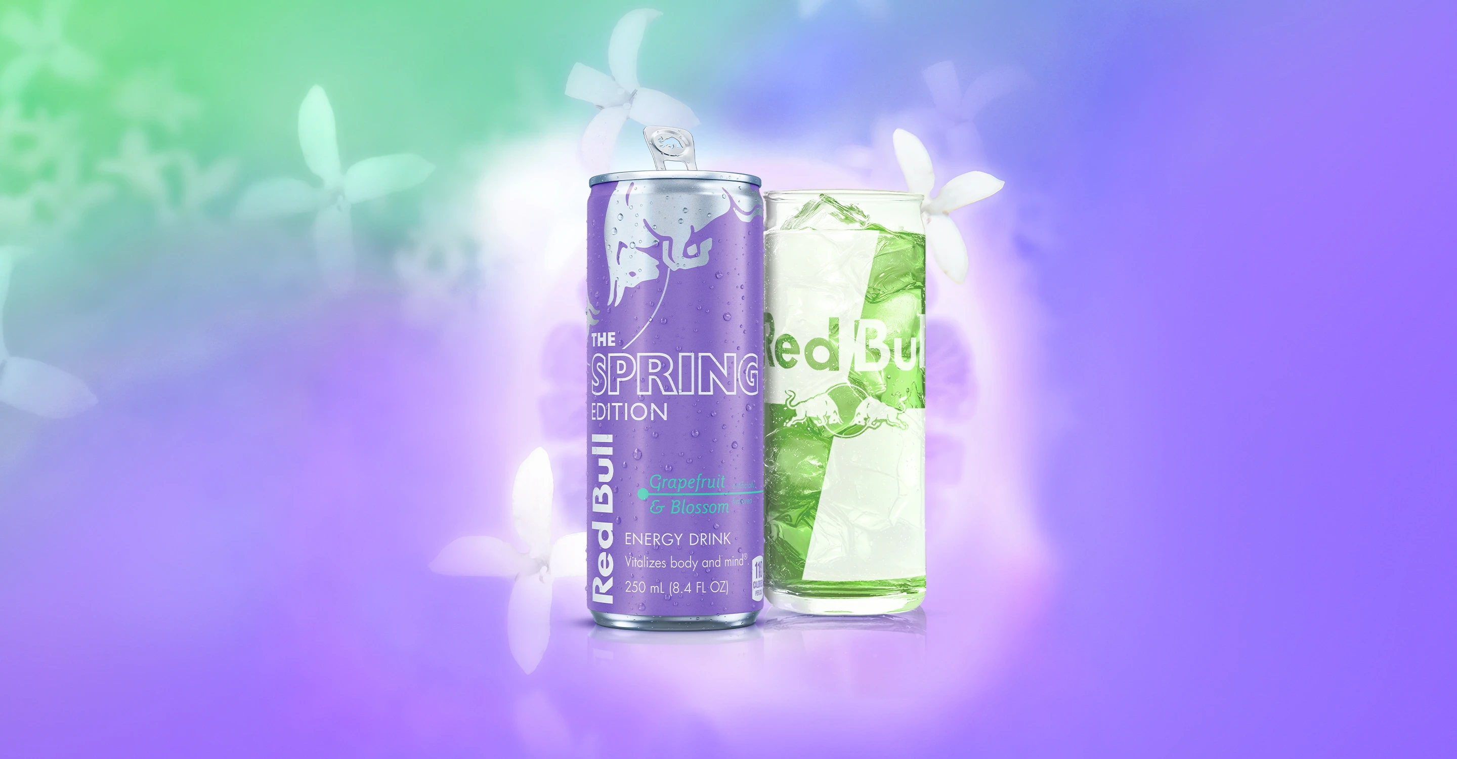 Red Bull Summer 2025