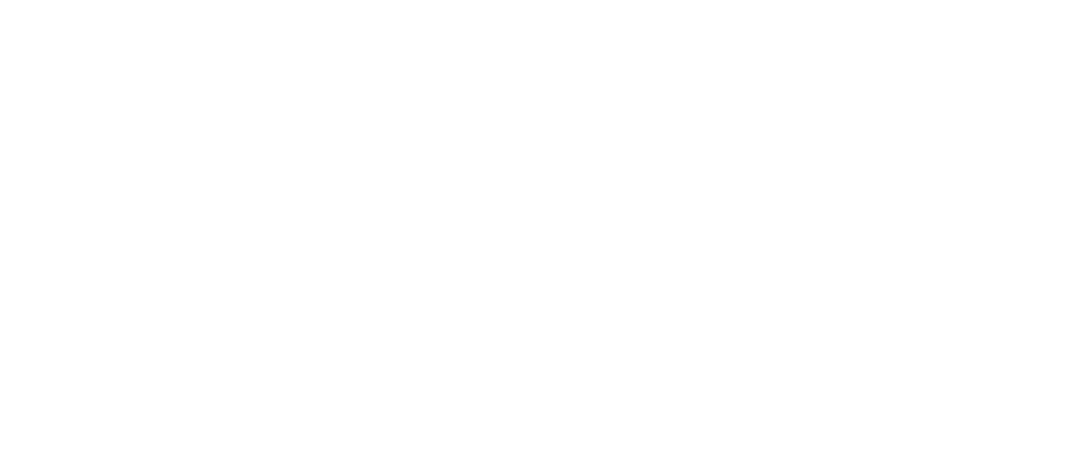 Meta Business Partner