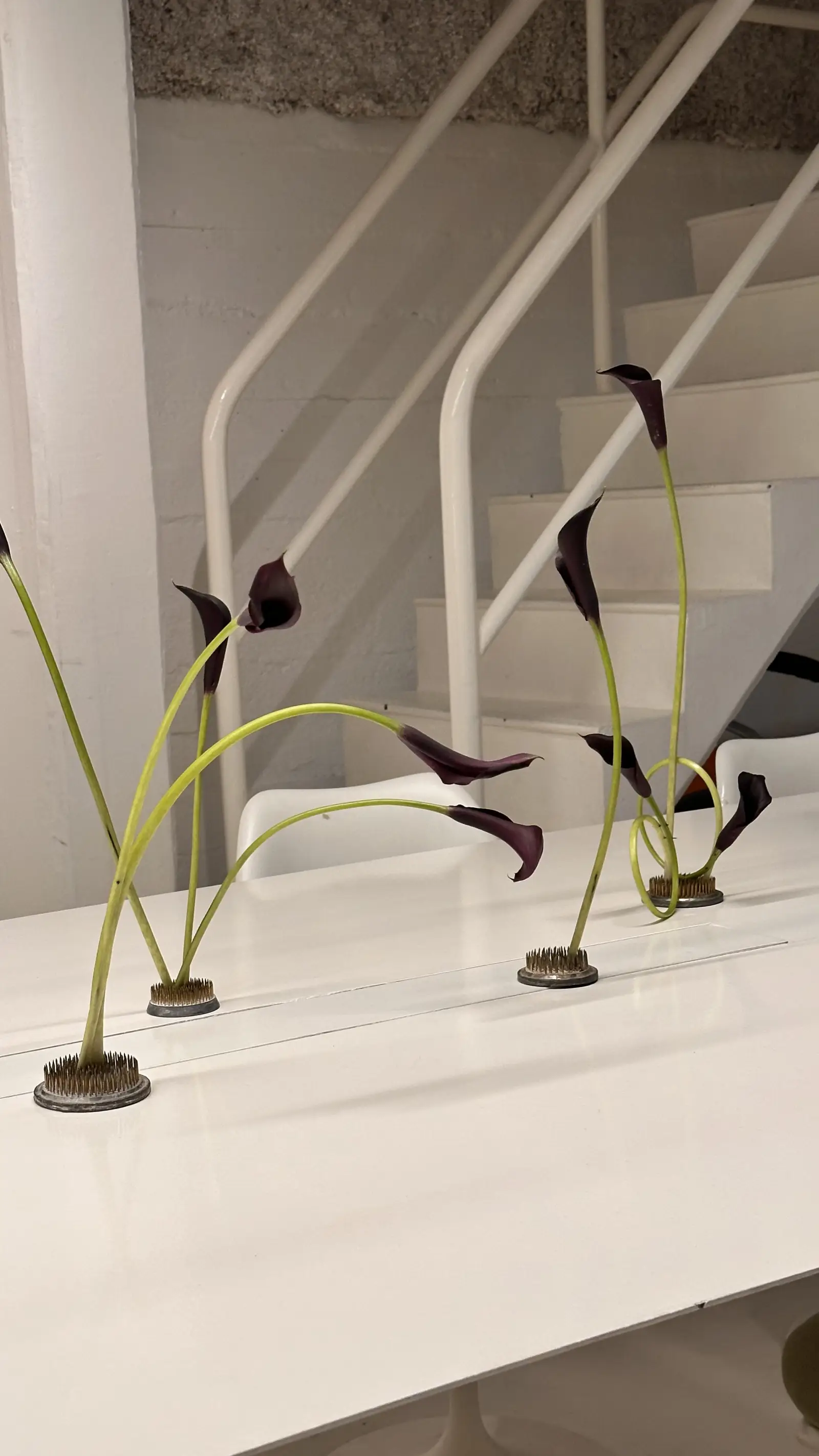 Arreglo de calas oscuras frente a escalera blanca minimalista.