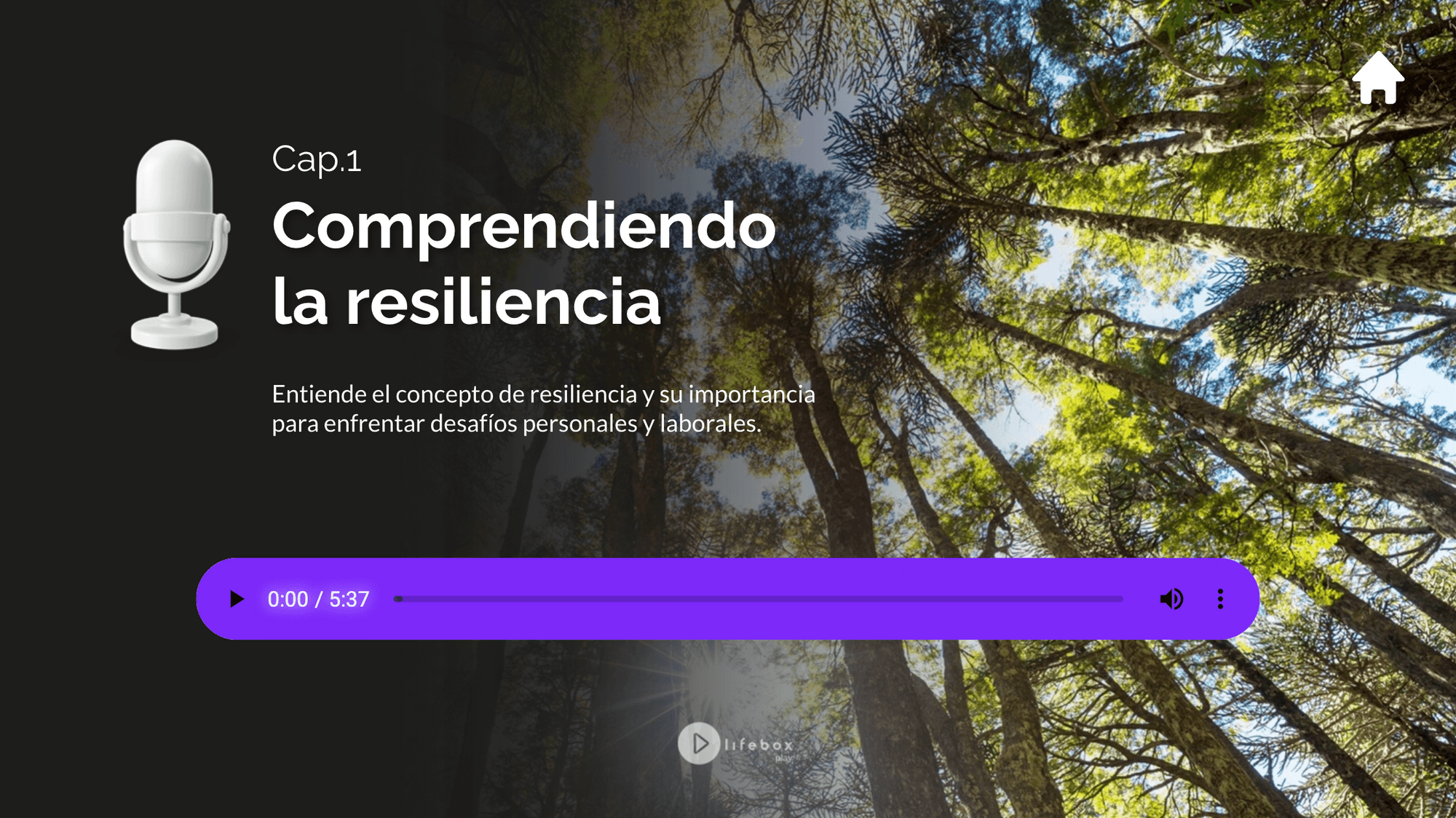Resiliencia en acción - lifebox