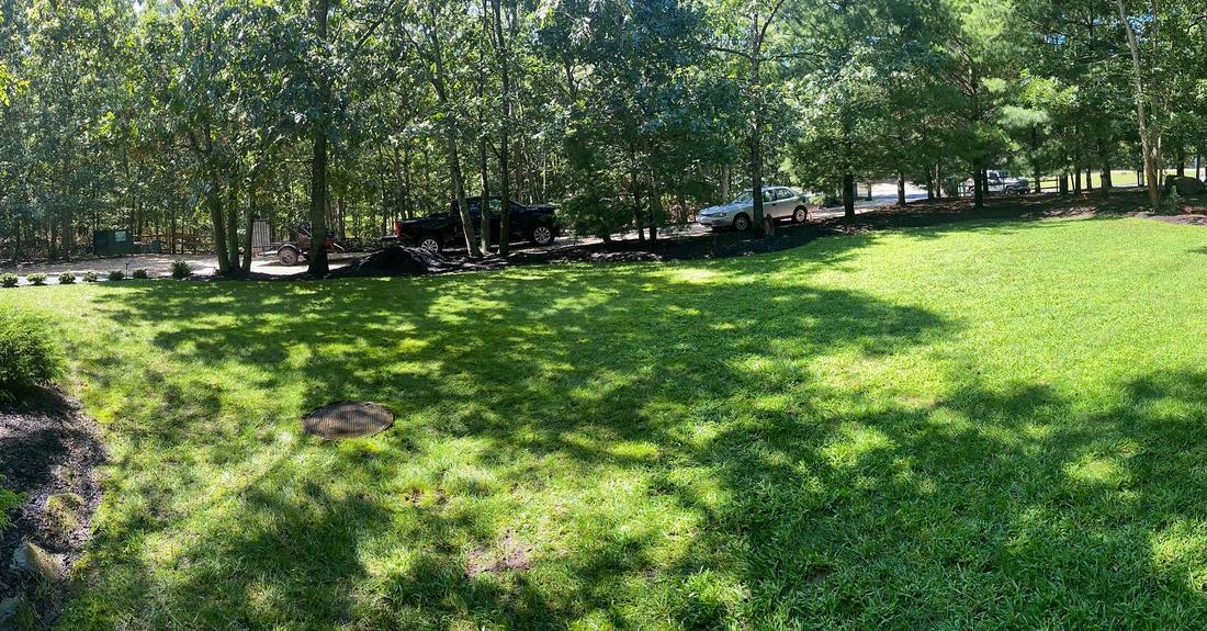 Wide shaded backyard lawn framed by a mulched planting border