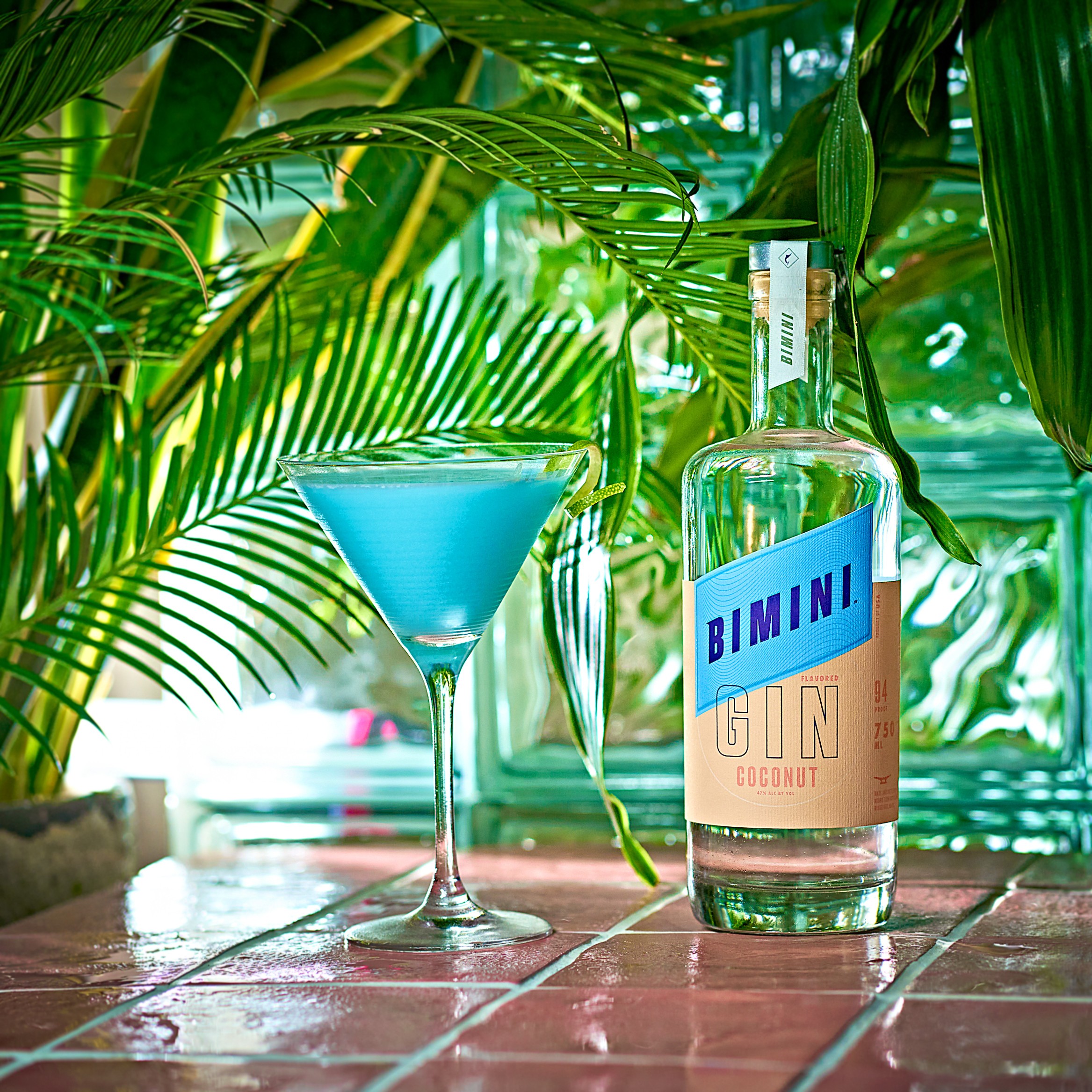 Bimini project photograph