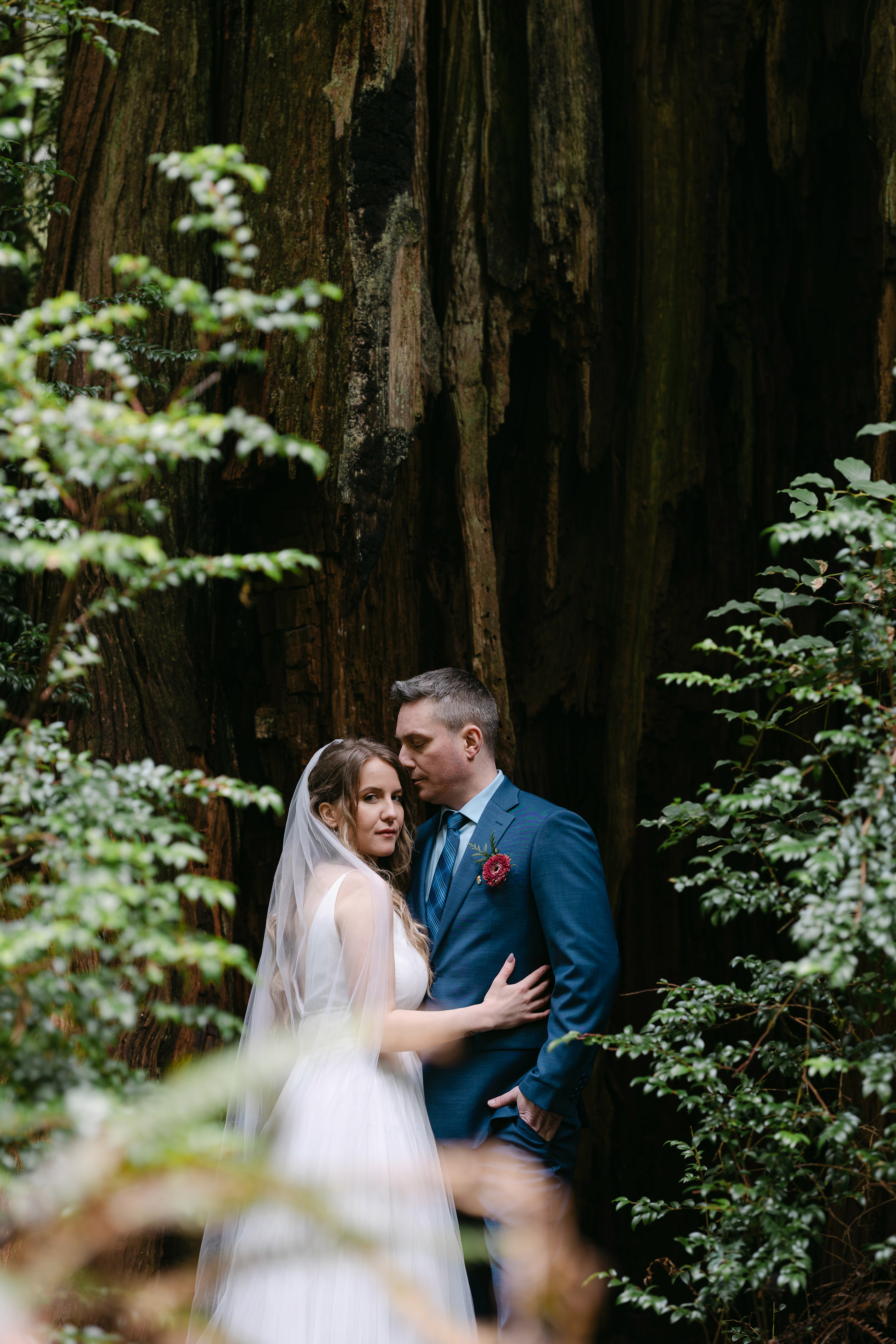 Couple in a sunlit landscape
