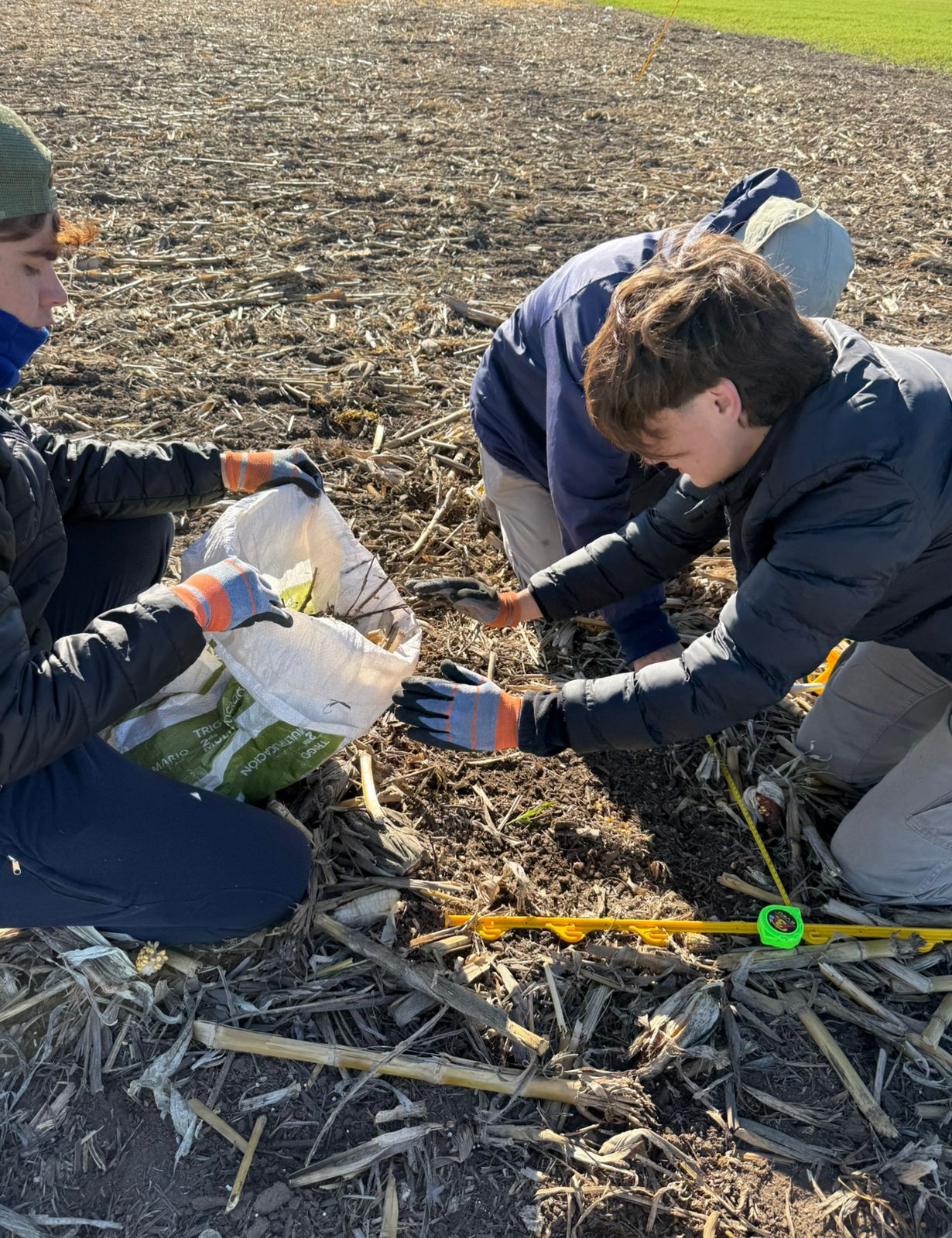 a view of a multi - story building from a balcony