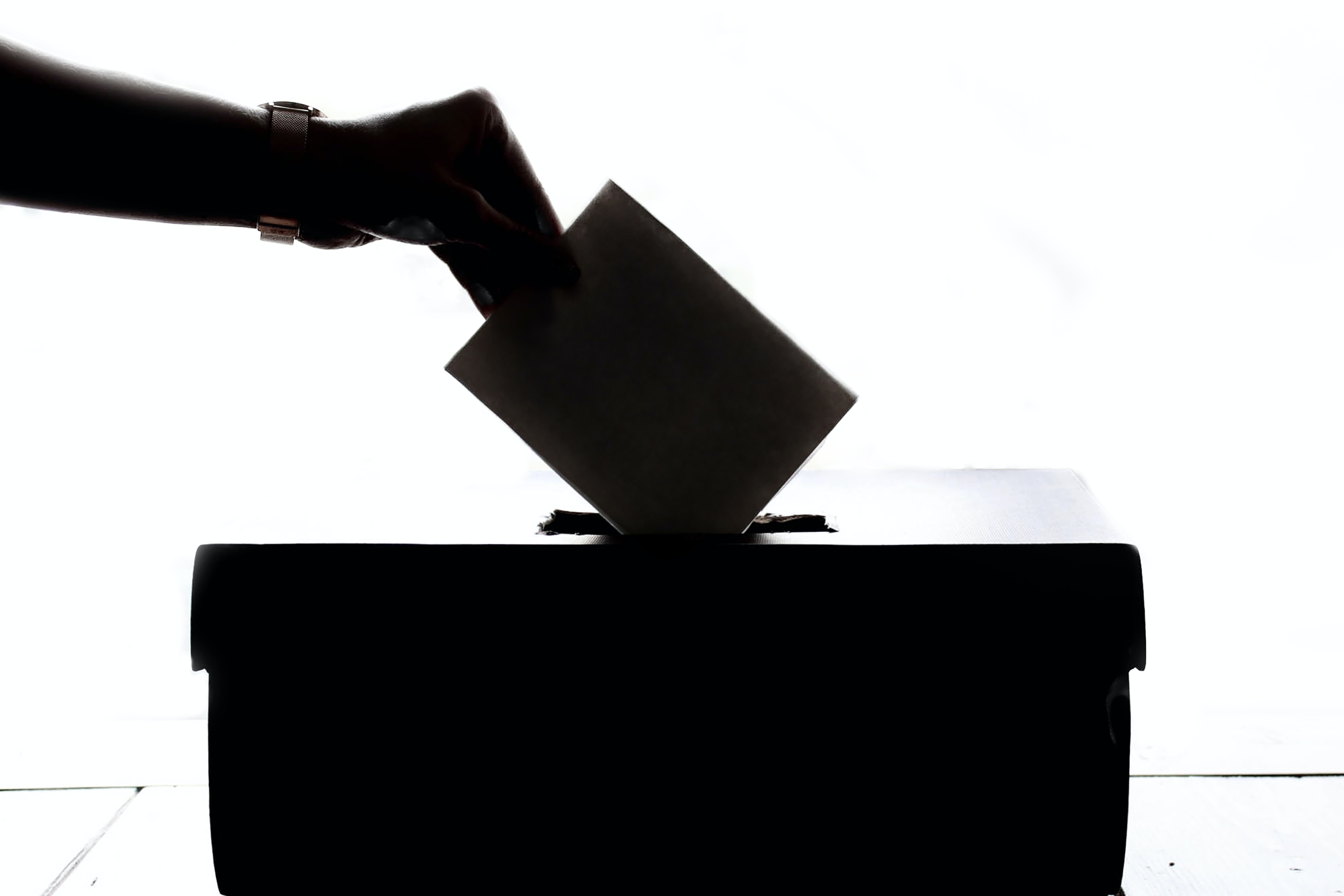 A black silhouette of a hand posting a vote in a ballot box.