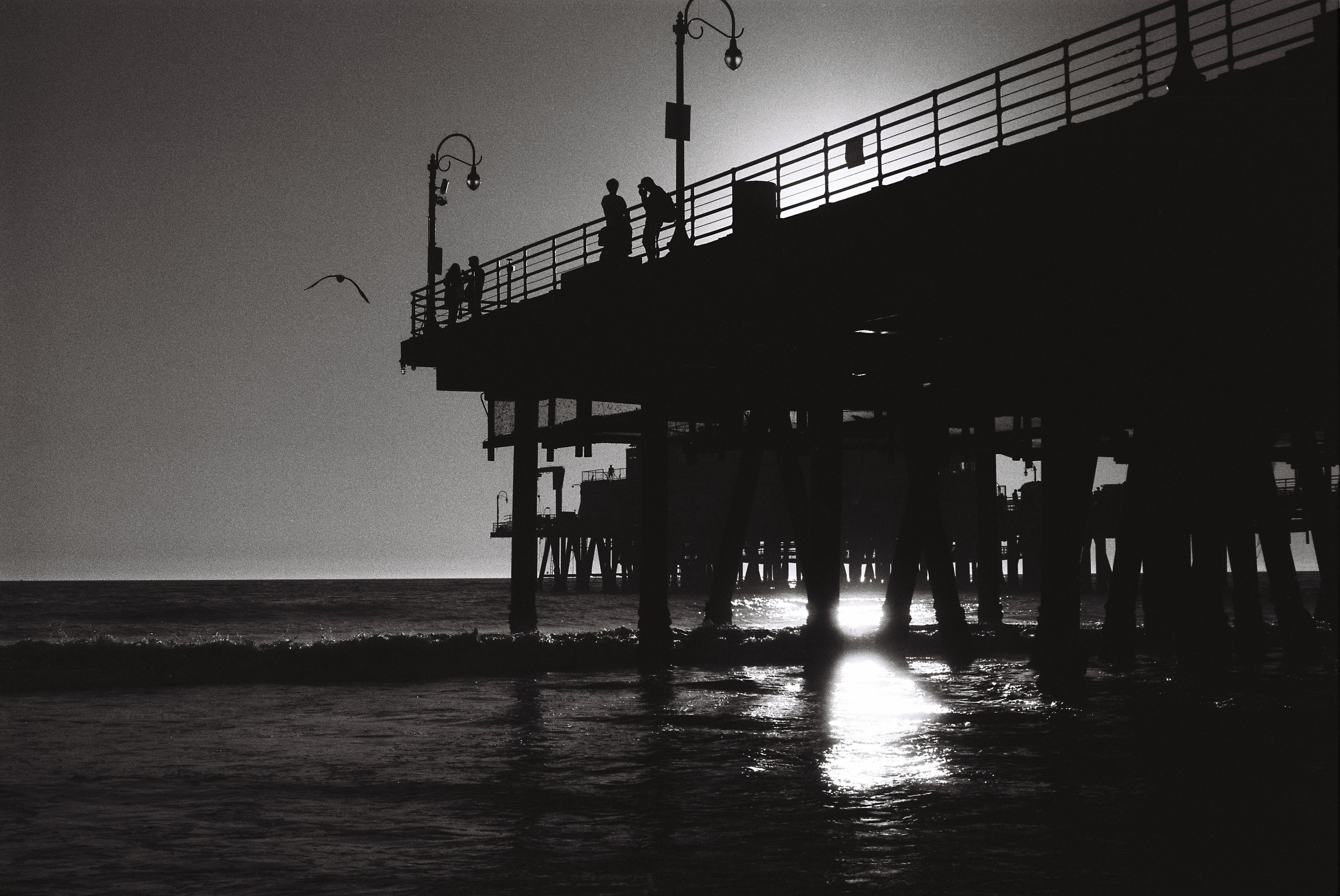 Photo by Renee G. Gudiño