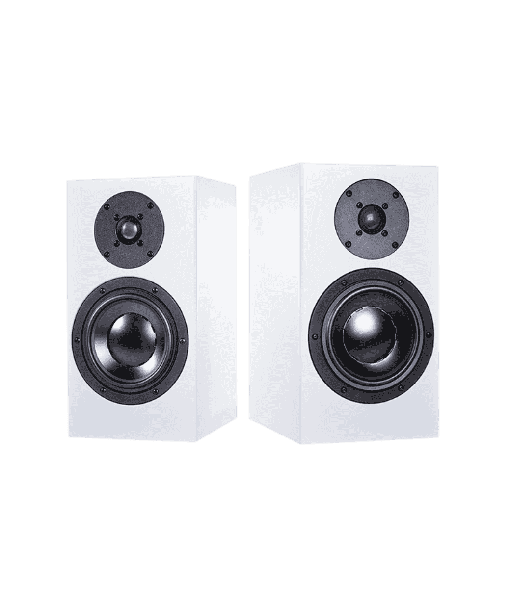 Totem Signature one Blanc - LE STUDIO HIFI