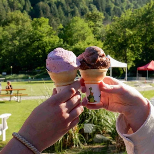 联合国教科文组织生物圈保护区和宝云岛游船之旅