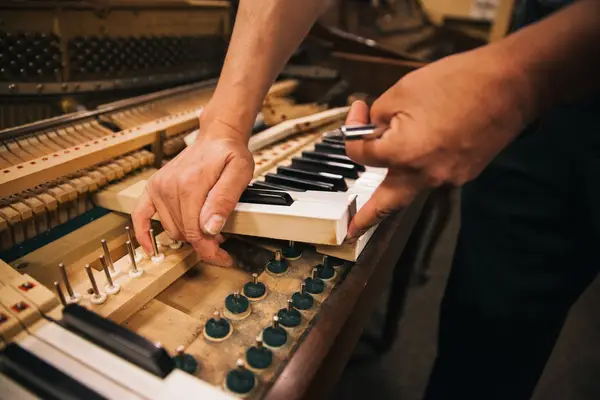 Nahaufnahme der Hände eines Klaviertechnikers, der eine Reihe von schwarzen und weißen Tasten aus einem Klavier entfernt und dabei das hölzerne Tastenbett, die Stifte und die innere Mechanik während einer Reparatur oder Wartung freilegt.