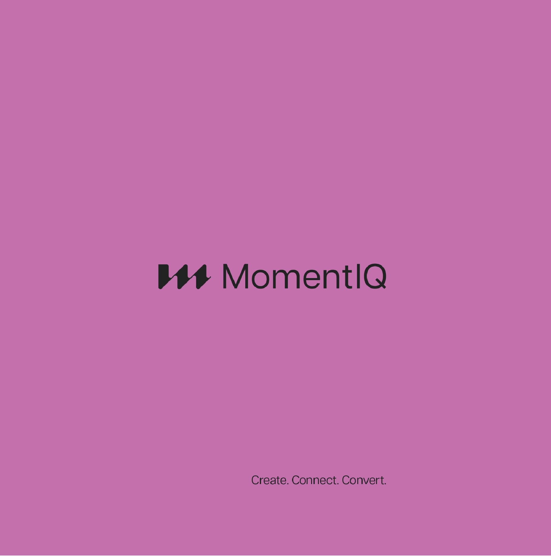 Ethereal dandelion seed heads in soft gradient light—fine filaments rendered in monochrome.