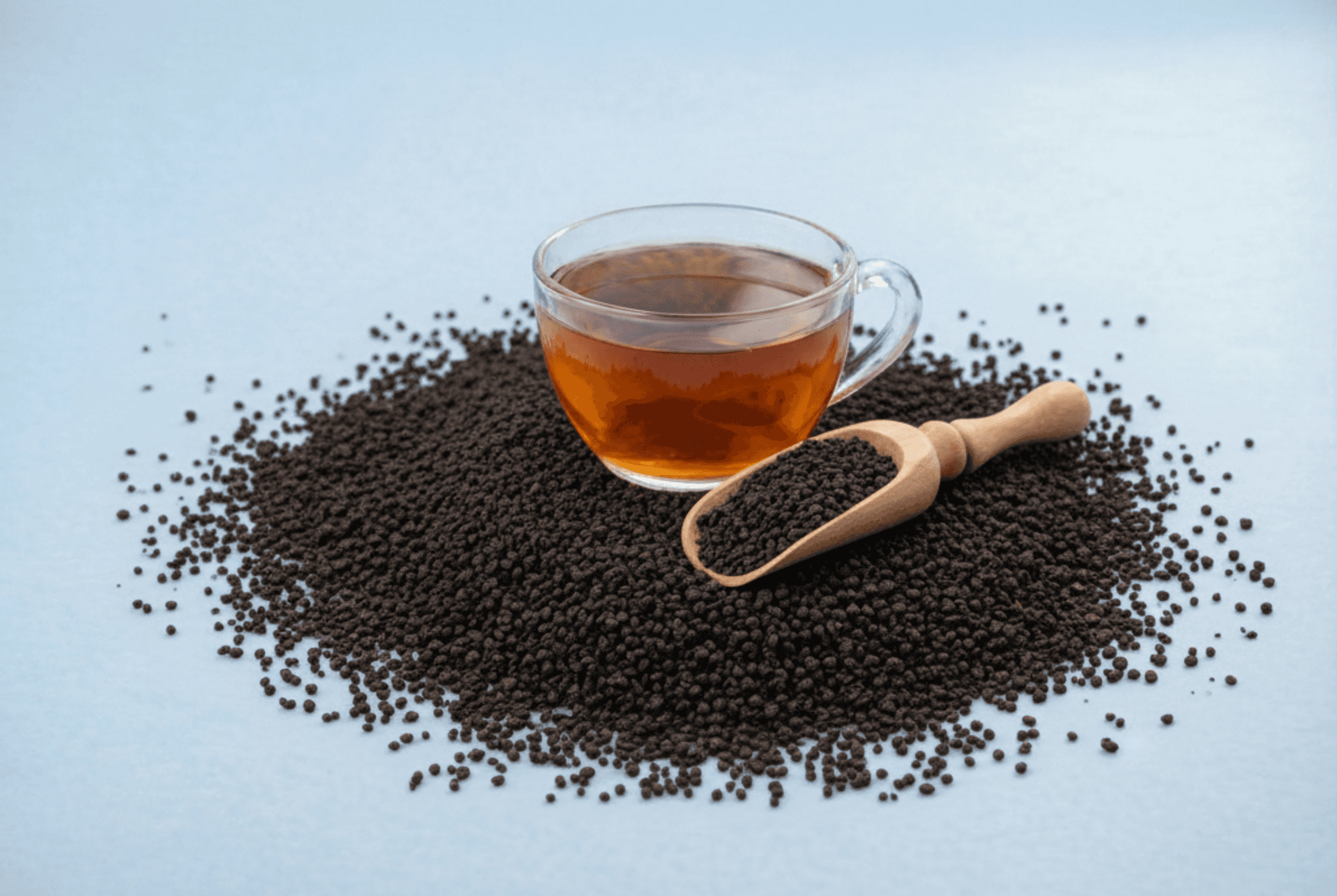 A single vibrant purple flower with green leaves.