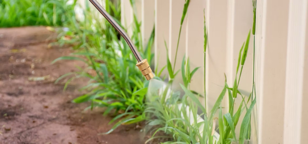 Selective vegetation control being sprayed along a fence line