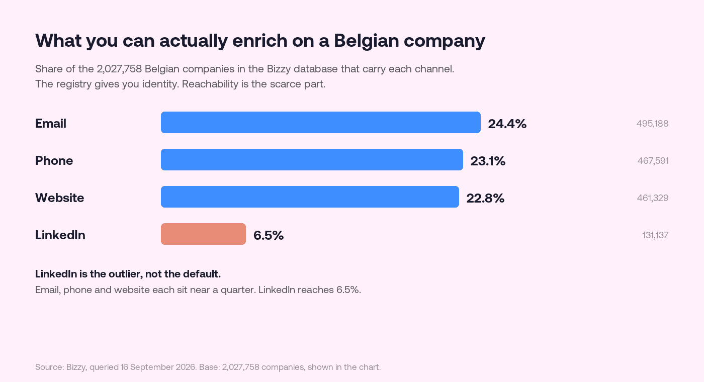 Bar chart showing the share of the 2,027,758 Belgian companies in the Bizzy database carrying each channel on record: email address 24.4 percent, phone number 23.1 percent, website 22.8 percent and LinkedIn 6.5 percent.