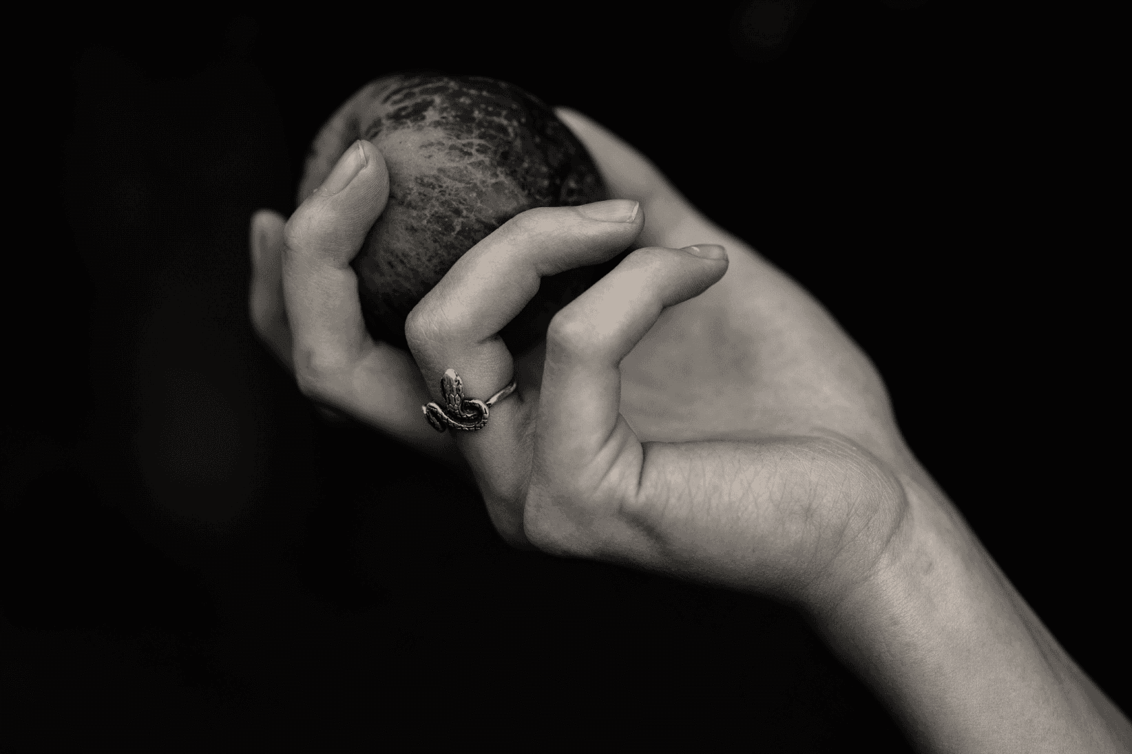 person holding red apple fruit