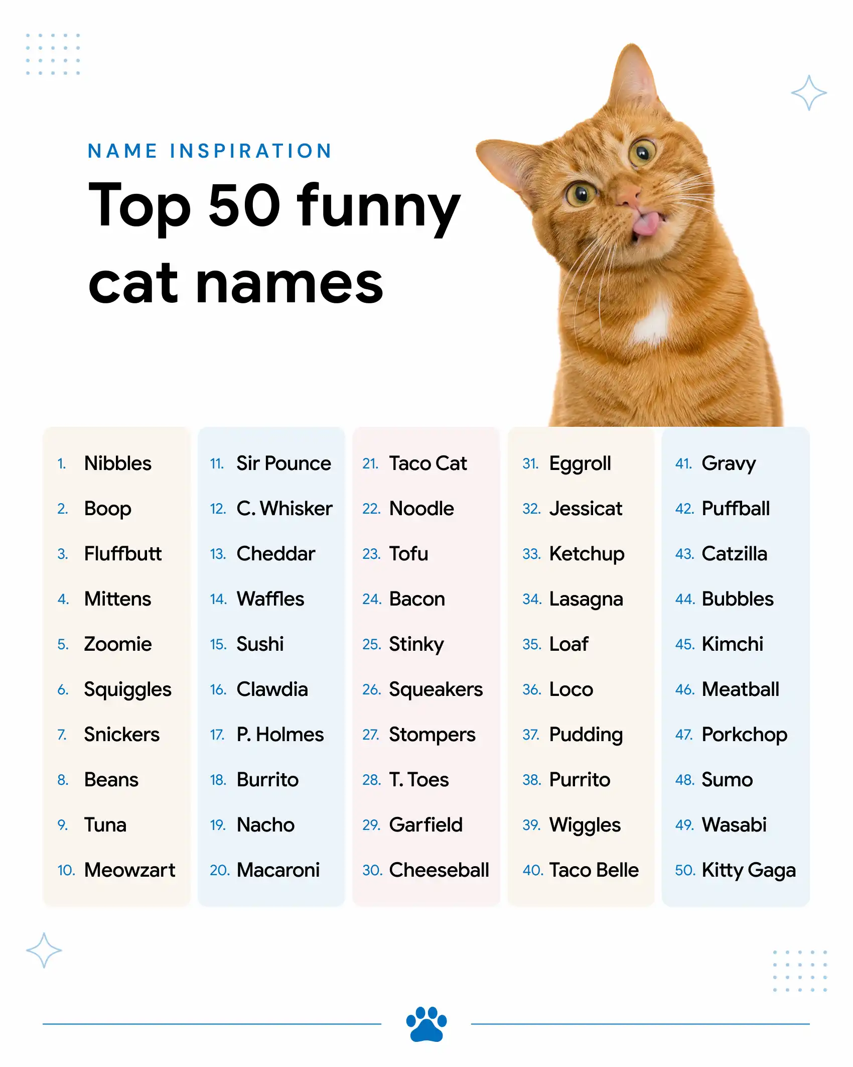 Funny Cat Names