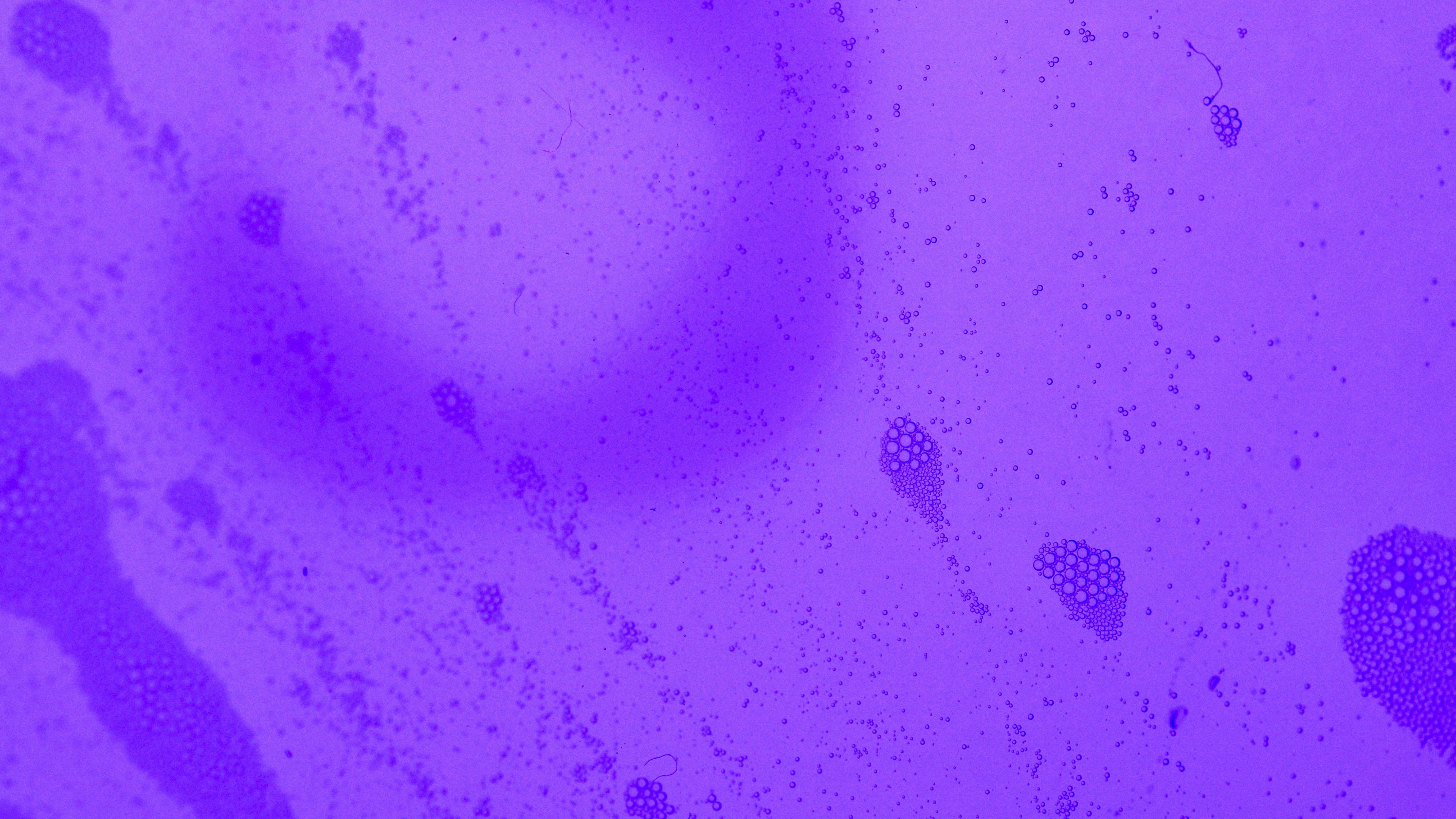 pink heart with blue background