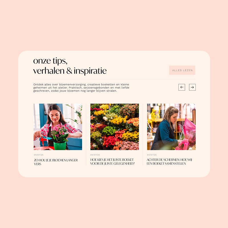 Heph studios portfolio davidshof