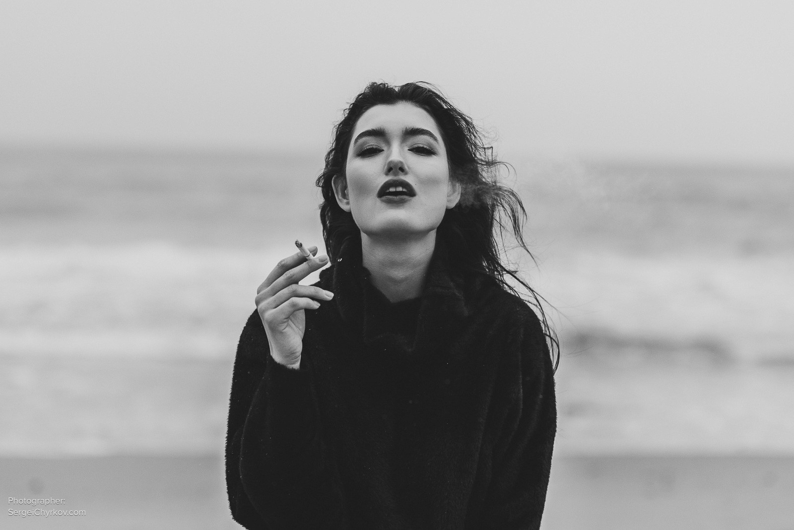 Seagulls by Sergei Chyrkov