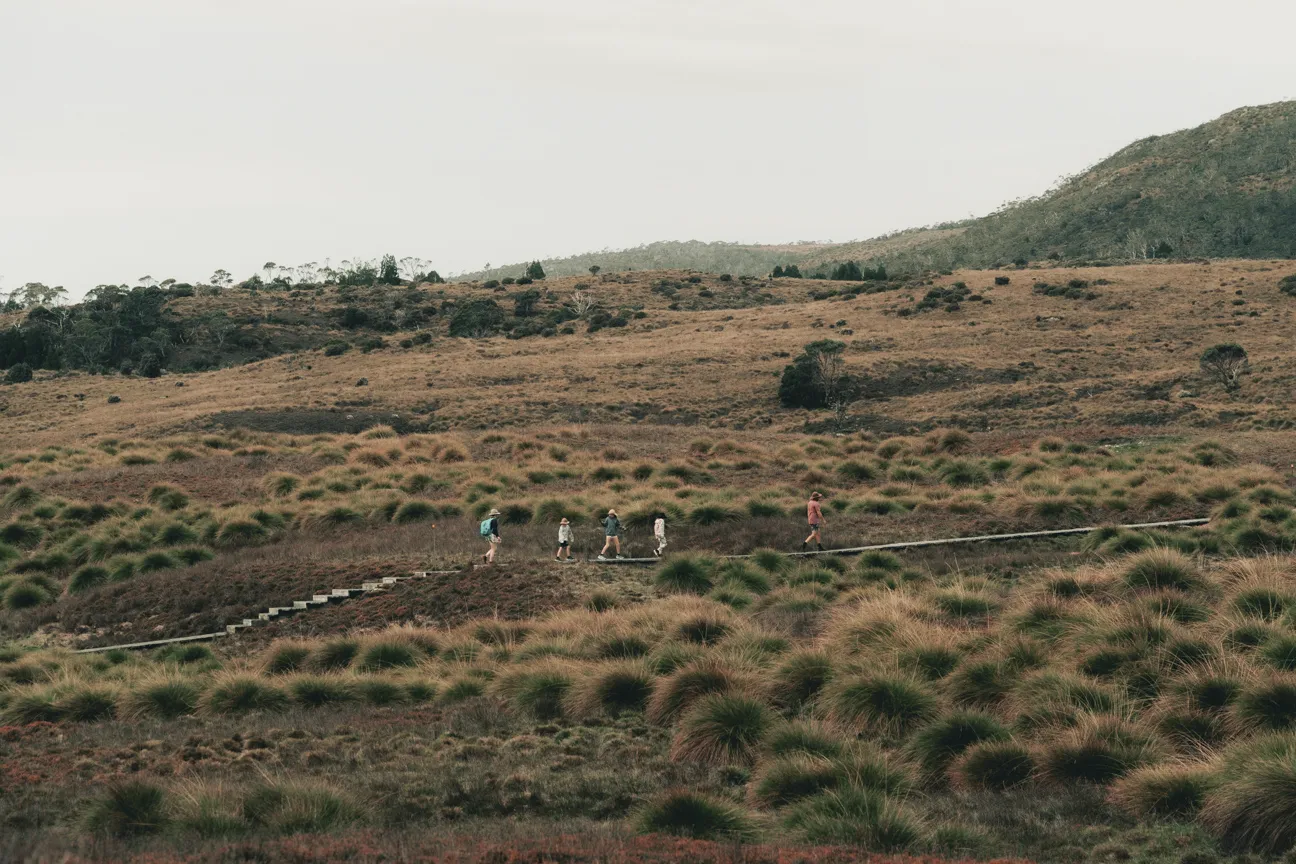 Cradle Valley Boardwalk