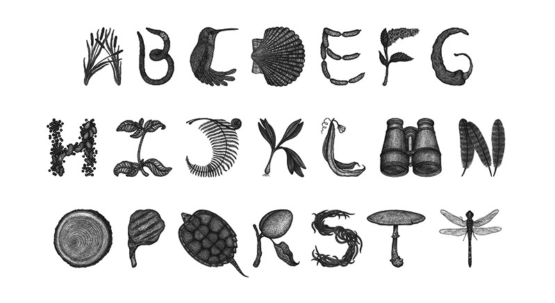 A part of the alphabet made from different objects, plants and animals.