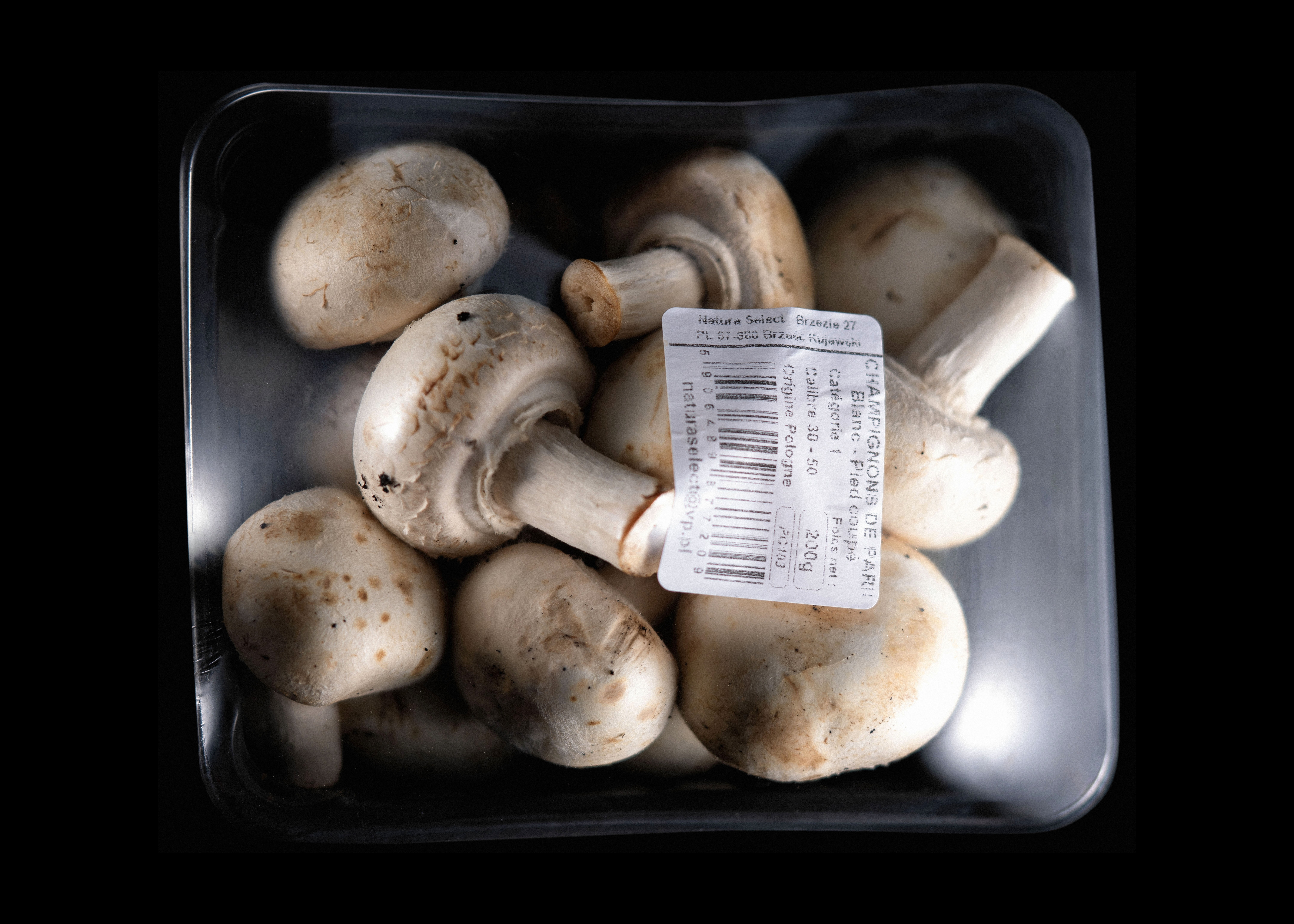 Culinaire, Food, Studio Photo, Pierretmae
