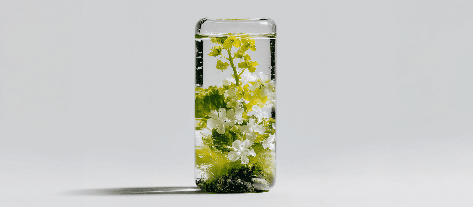 Floral water display