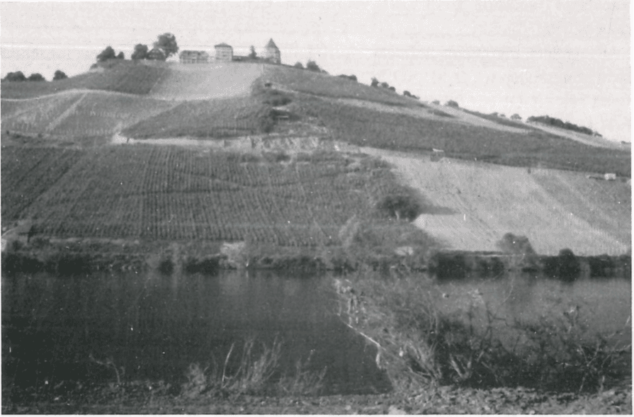 Pünderich Mosel Foto von H.-W. Obermann