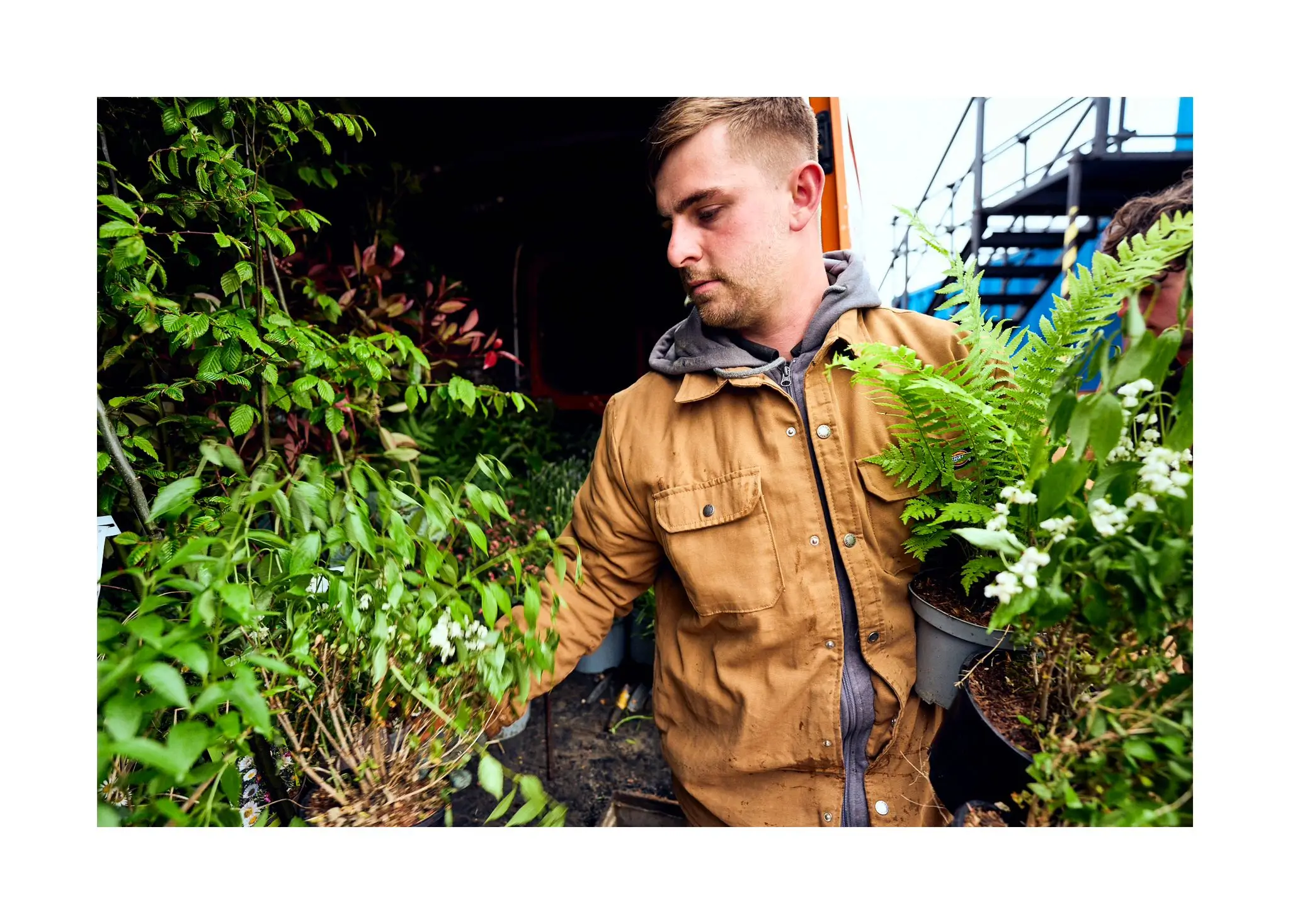 A person in a brown jacket stands among lush green plants, appearing engaged in gardening or outdoor work.