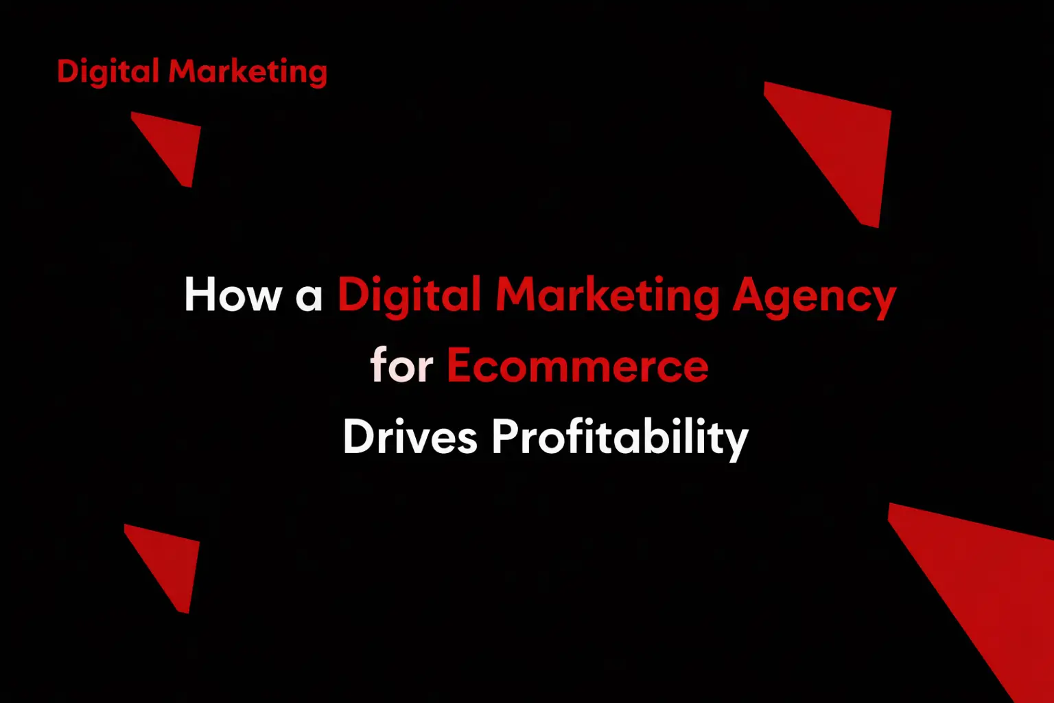 Digital Marketing Agency