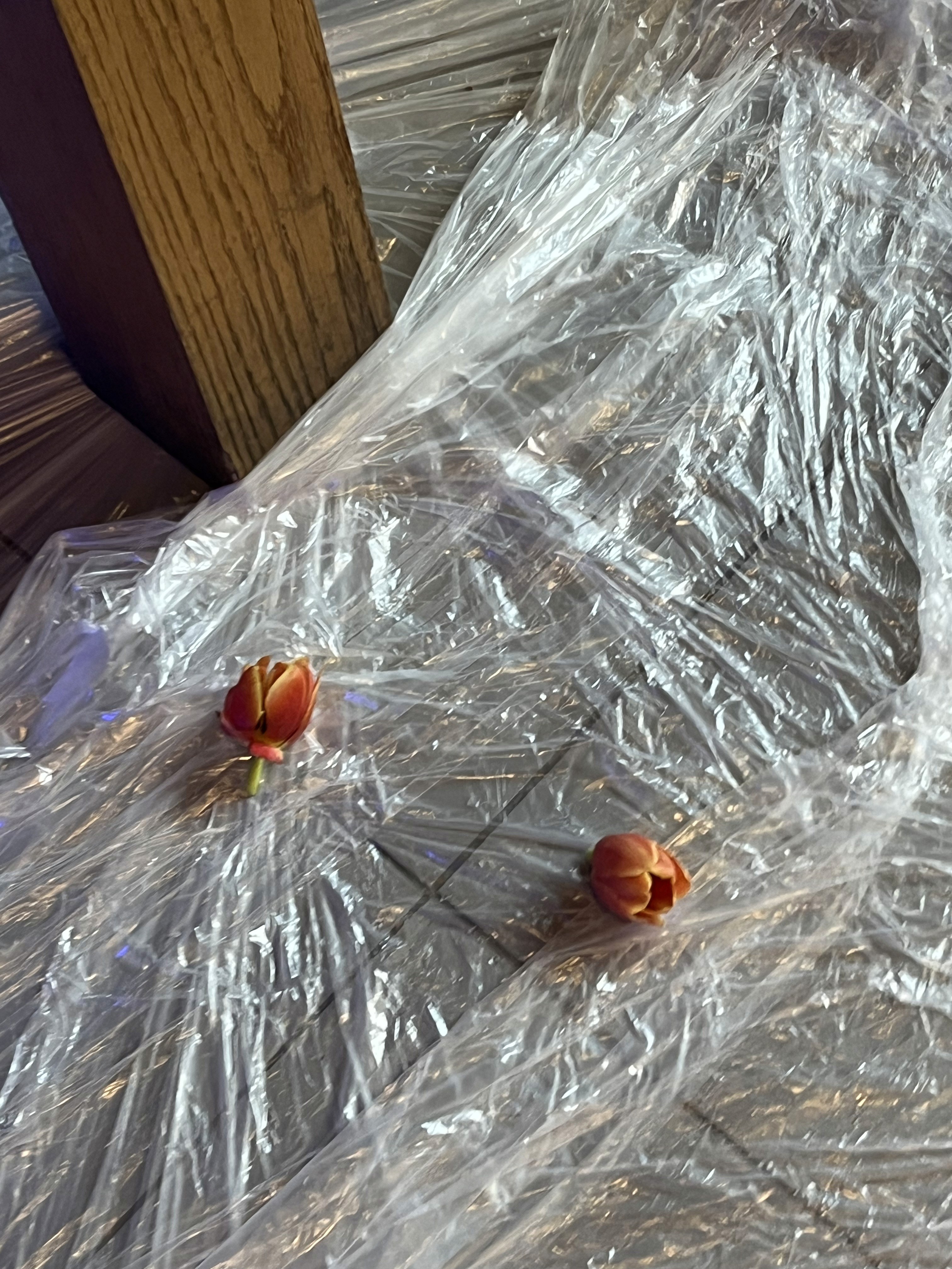 Marwane Roncuzzi, fondateur du studio Point à la ligne, un studio de design graphique basé à Lyon.