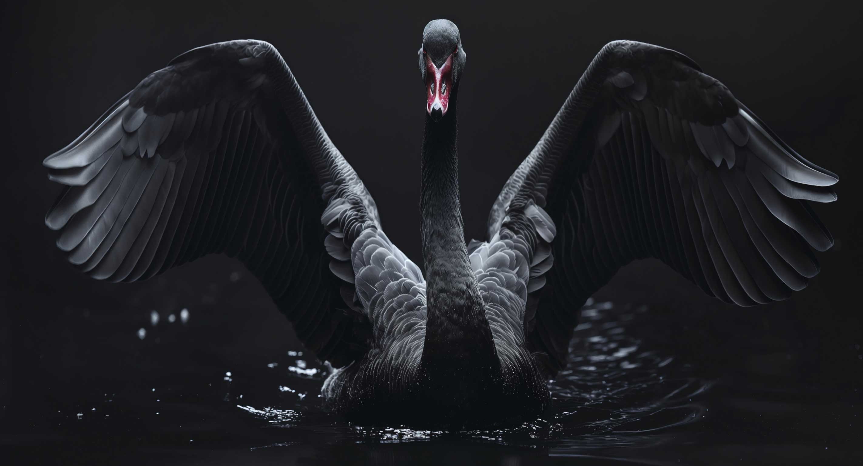 Black Swan