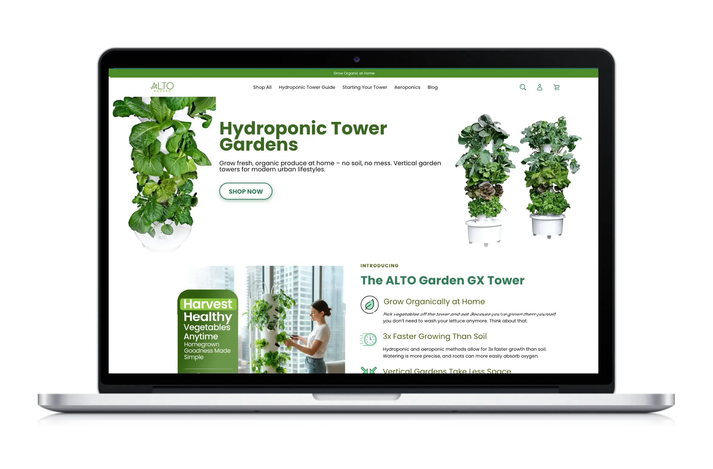 Banner image of Alto Garden website