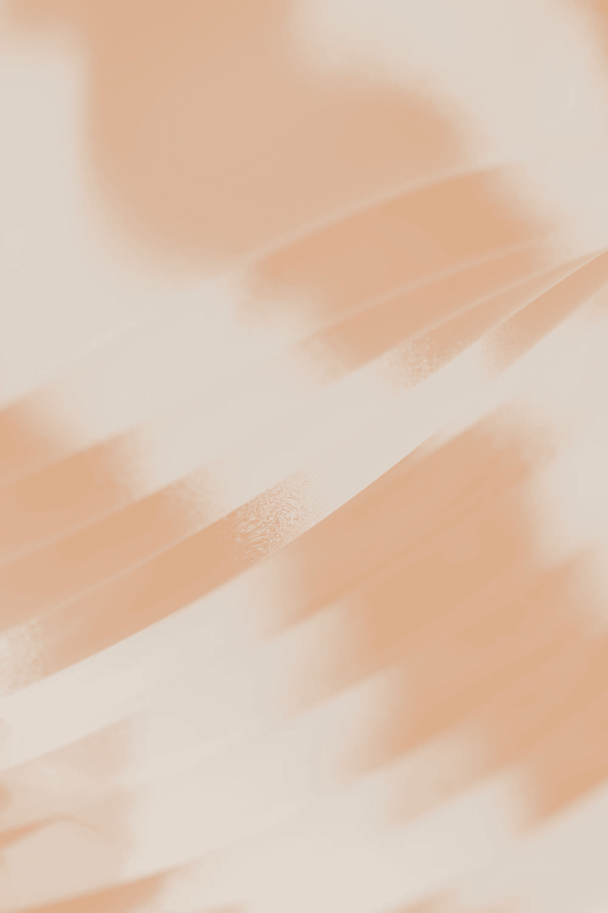 brown and black snake on brown sand