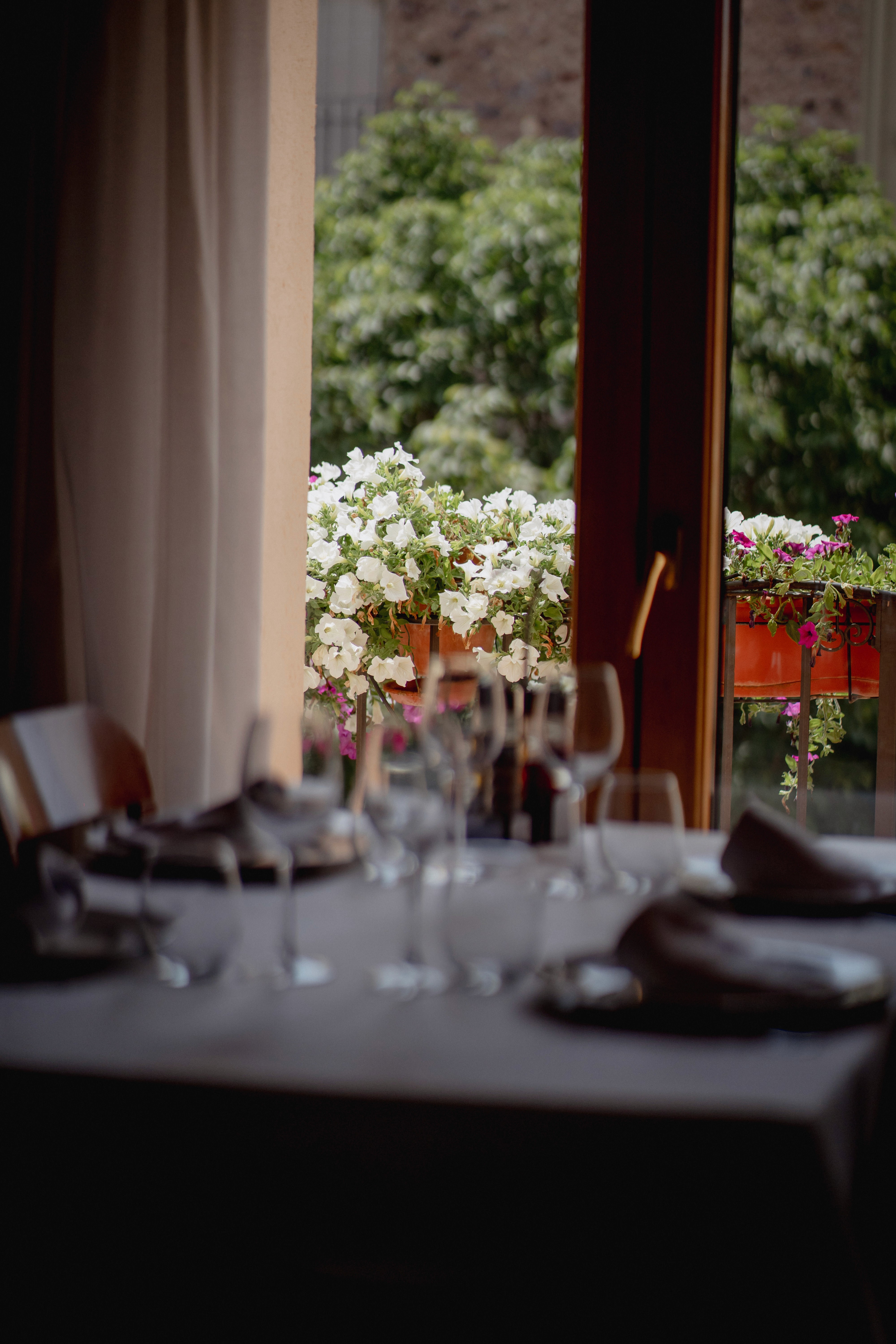 creative snacks and cocktails