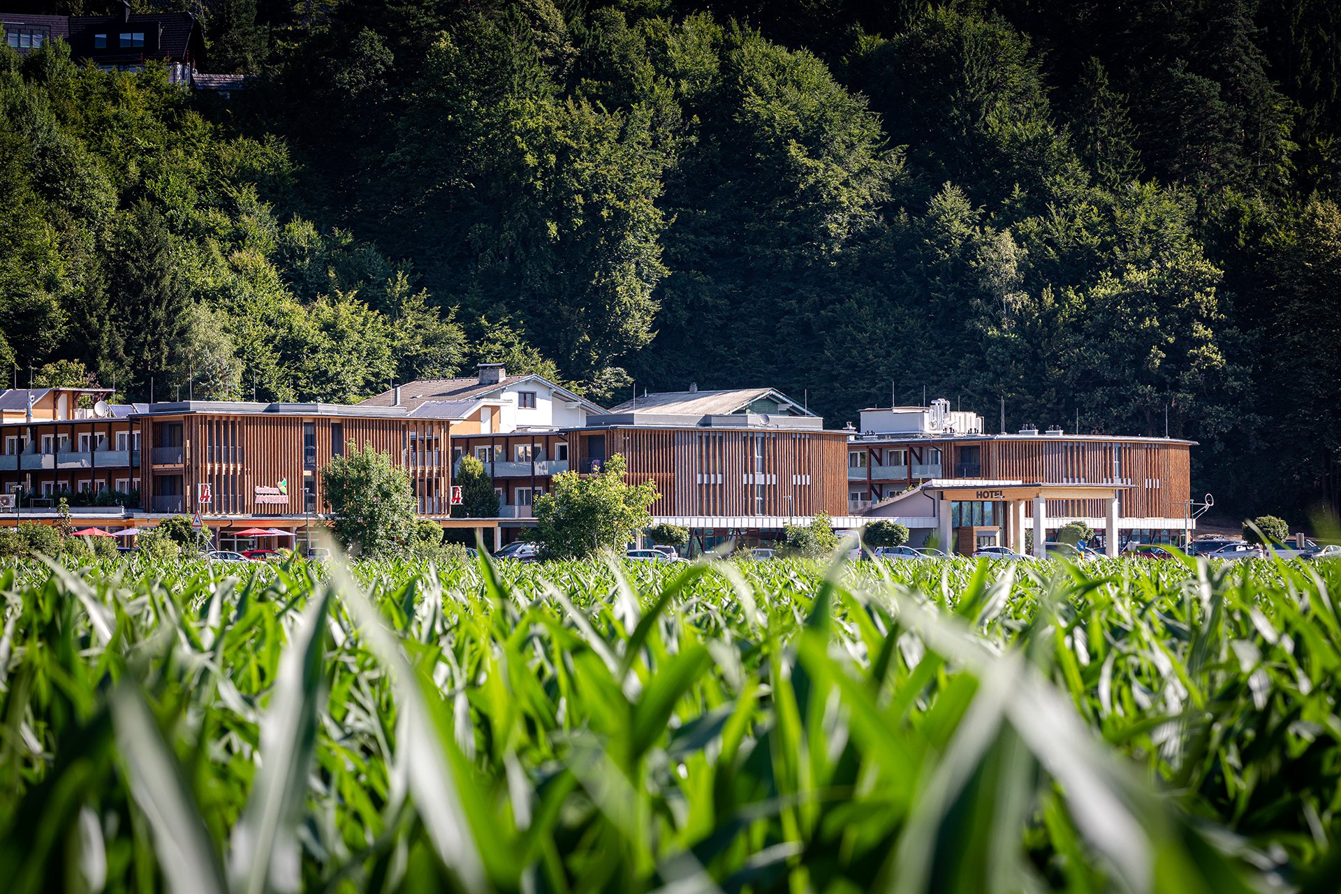 Hotel eduCARE umgeben von Wiese und Wald.