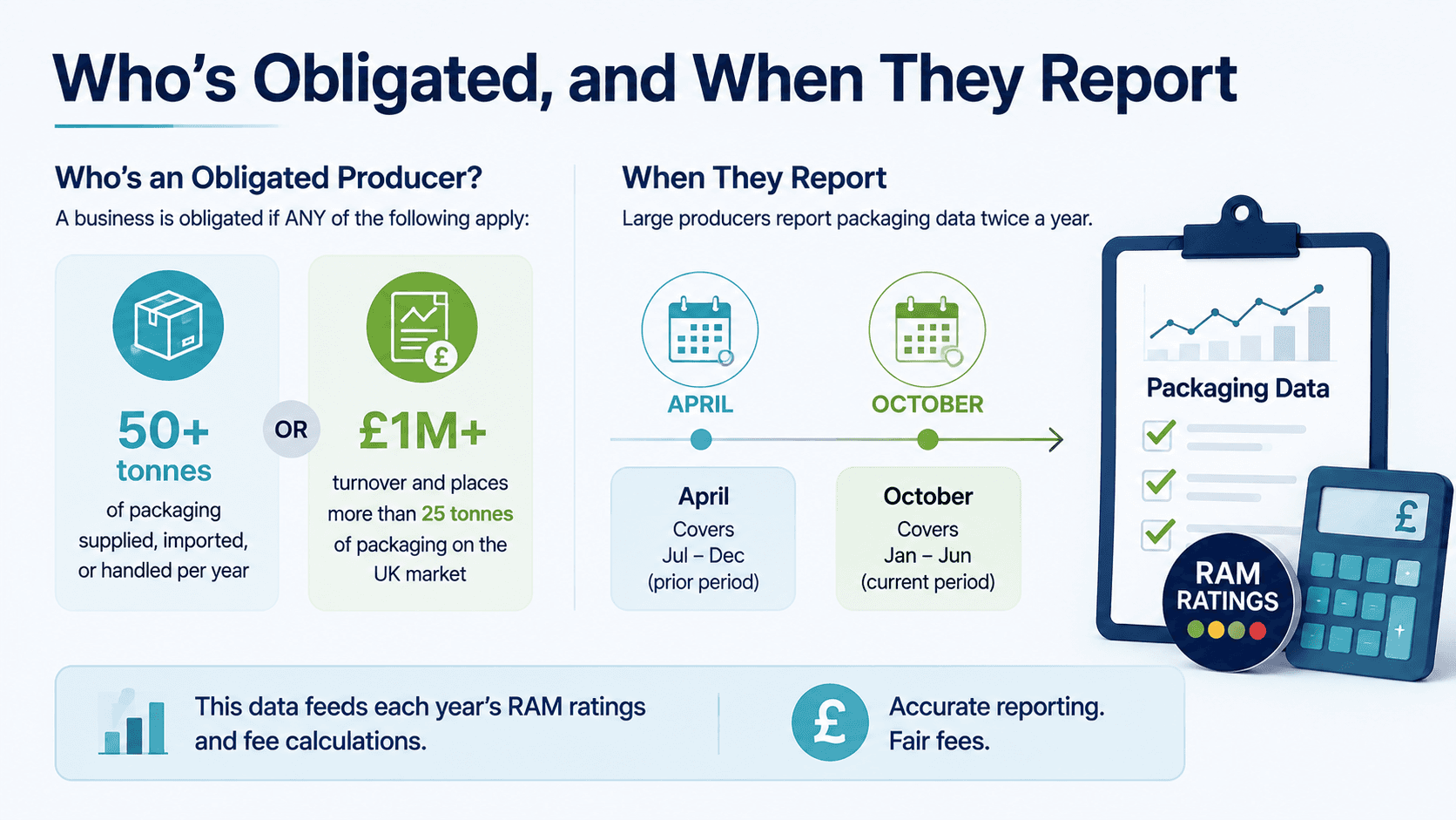 "Who's Obligated, and When They Report" infographic