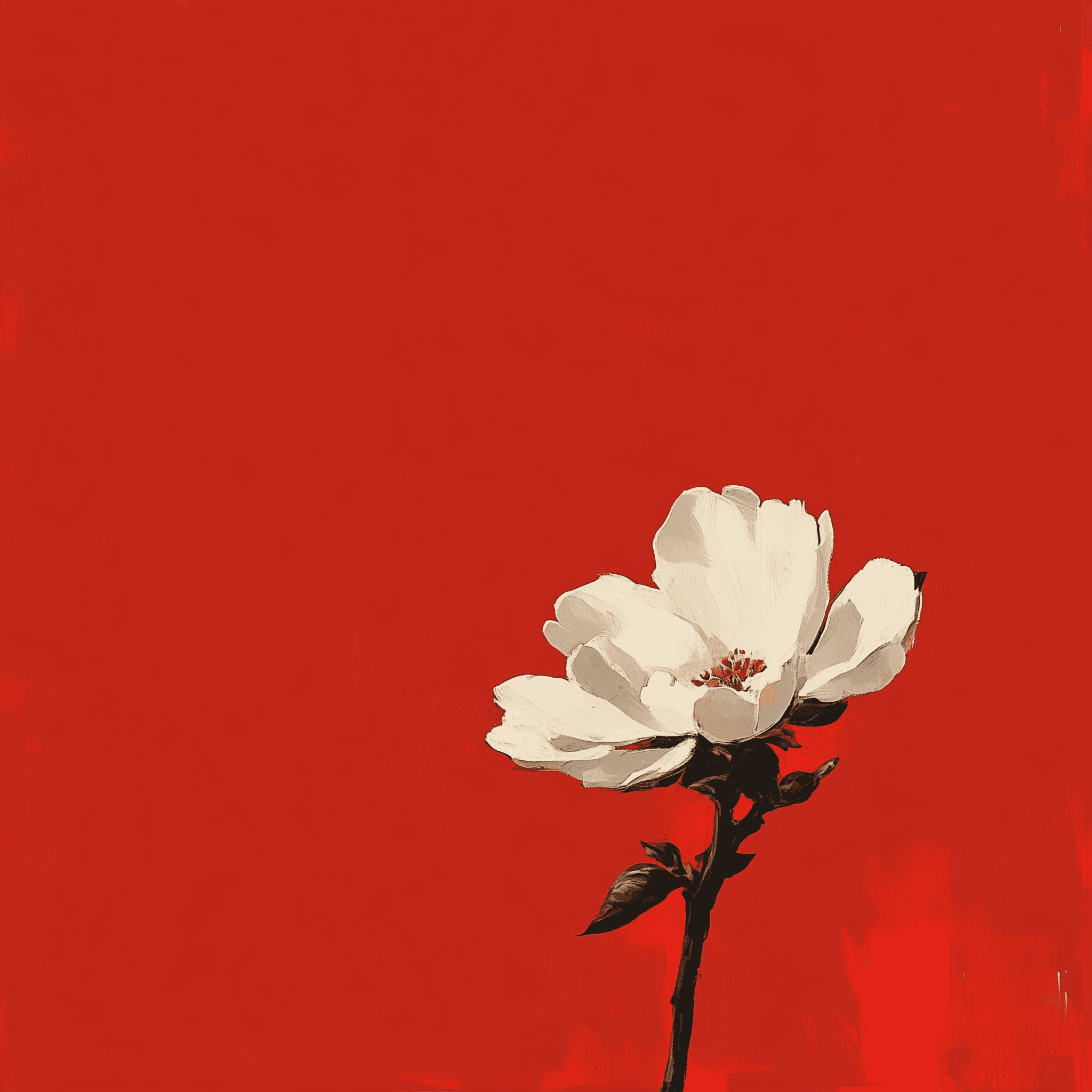 Minimalist illustration of a single white flower on a red background, in the style of Atey Ghailan, a white flower on a red background, and negative space, photography, real photography, with a focus on texture.