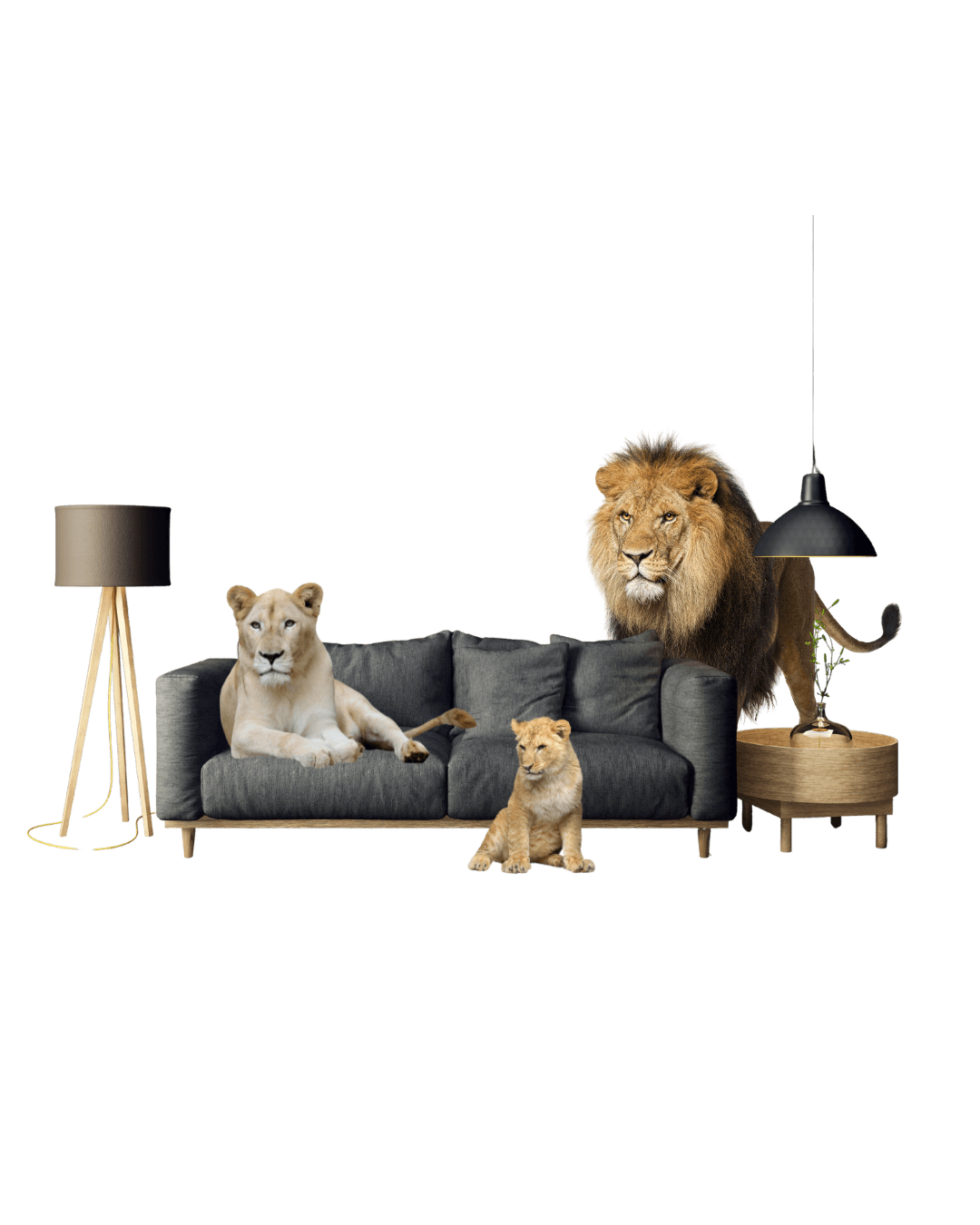 Vancouver storage for bikes