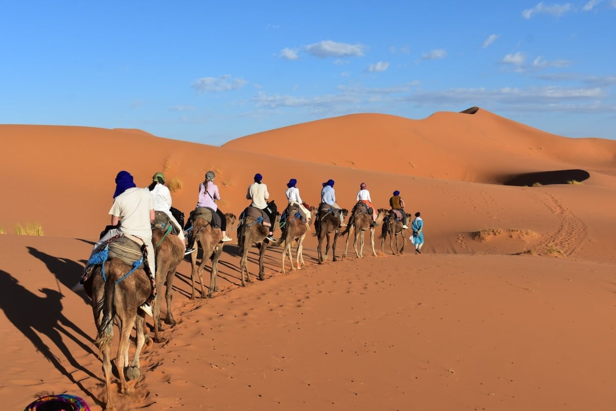 Sahara Camel Ride