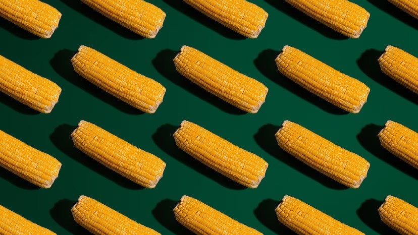 A repeating pattern of sweetcorn cobs arranged diagonally against a dark green background, styled as a bold flat-lay graphic.