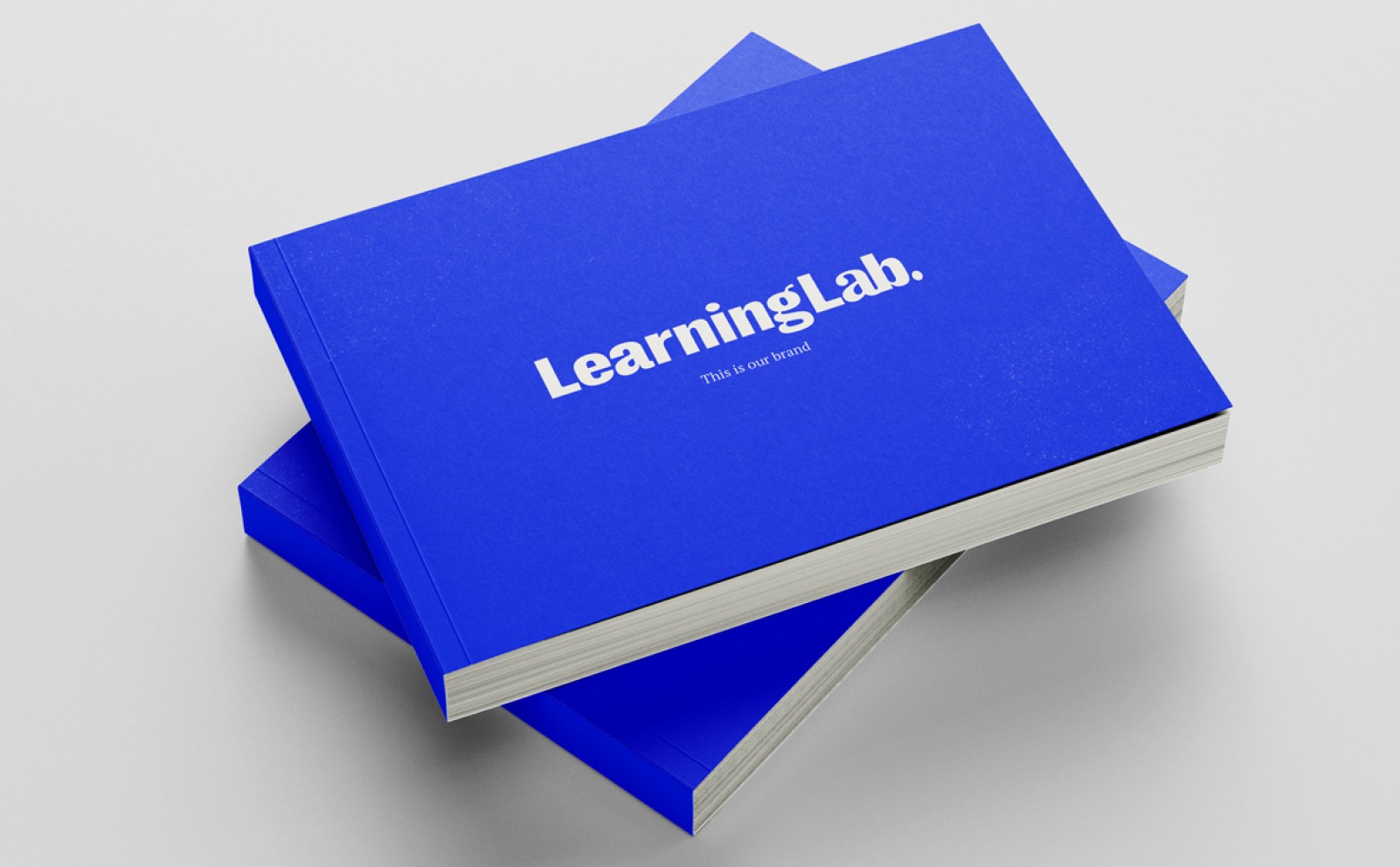 Branding book for advocacy organization for people with exceptionalities