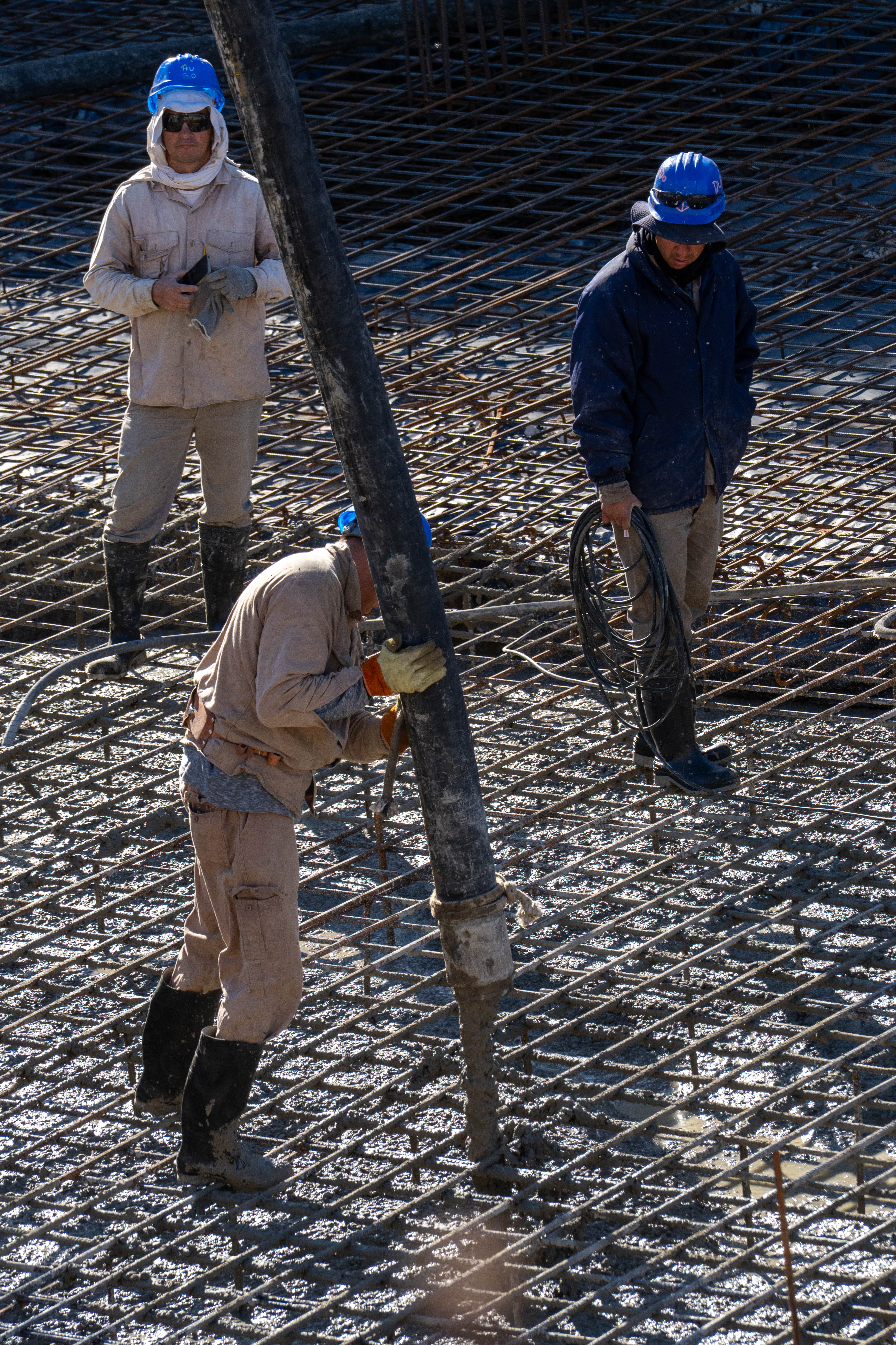 Petal Frames Project